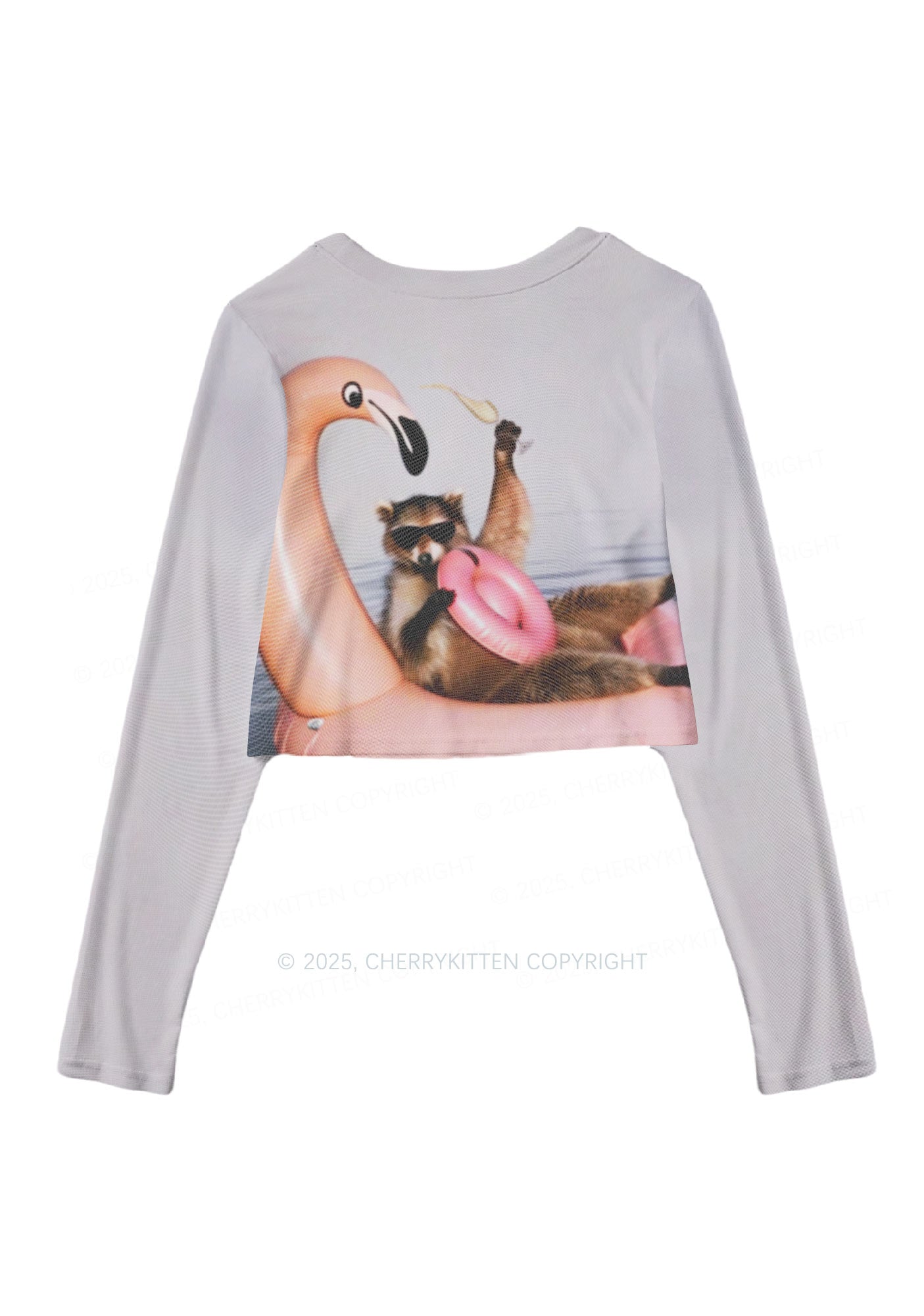 Flamingo Raccoon Y2K Mesh Long Sleeve Crop Top Cherrykitten