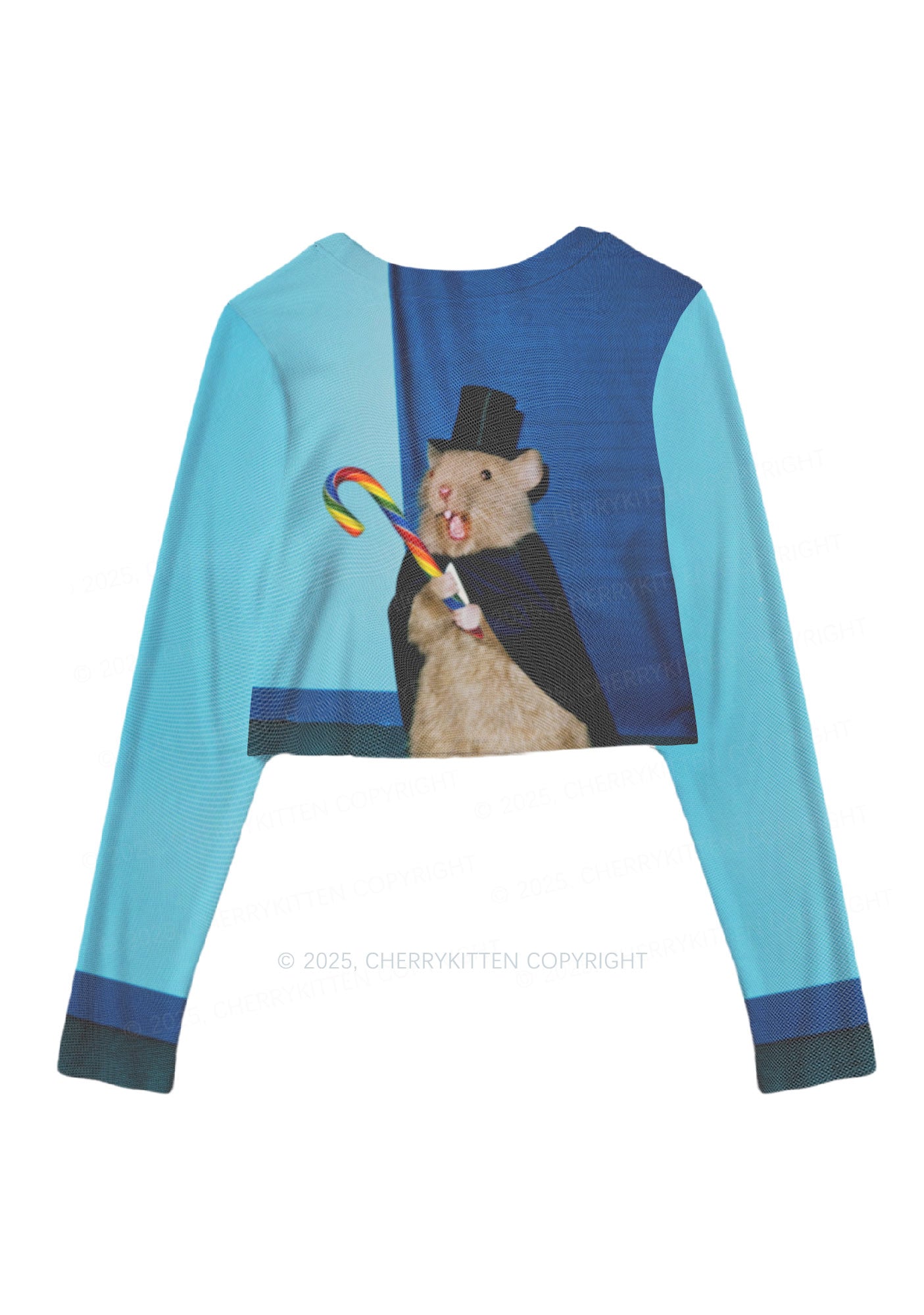 Gentleman Ratz Y2K Mesh Long Sleeve Crop Top Cherrykitten