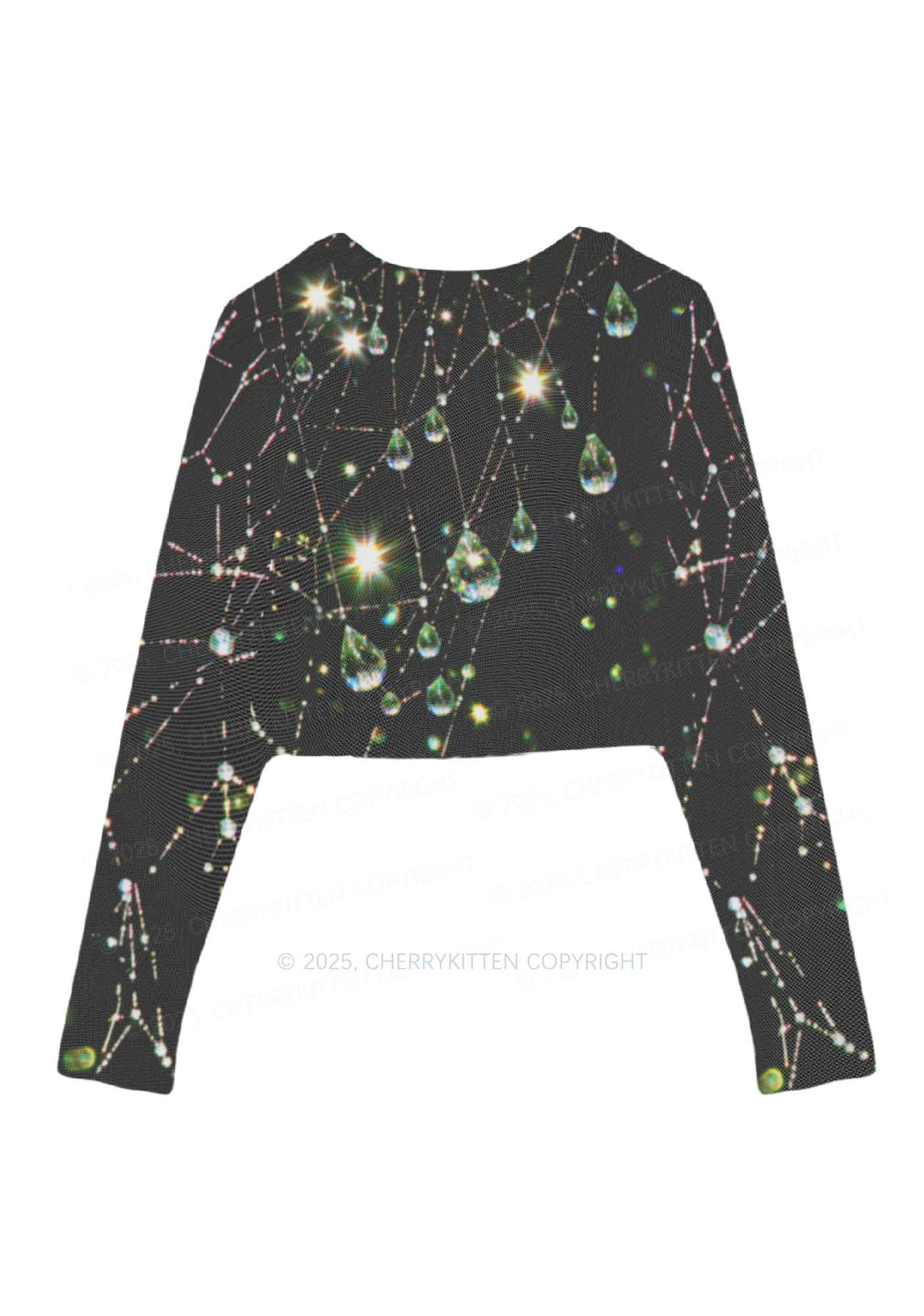 Dew Web Y2K Mesh Long Sleeve Crop Top Cherrykitten