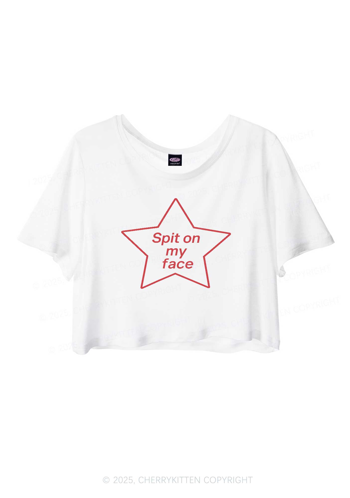 Spit On My Face Y2K Sheer Crop Tee Cherrykitten