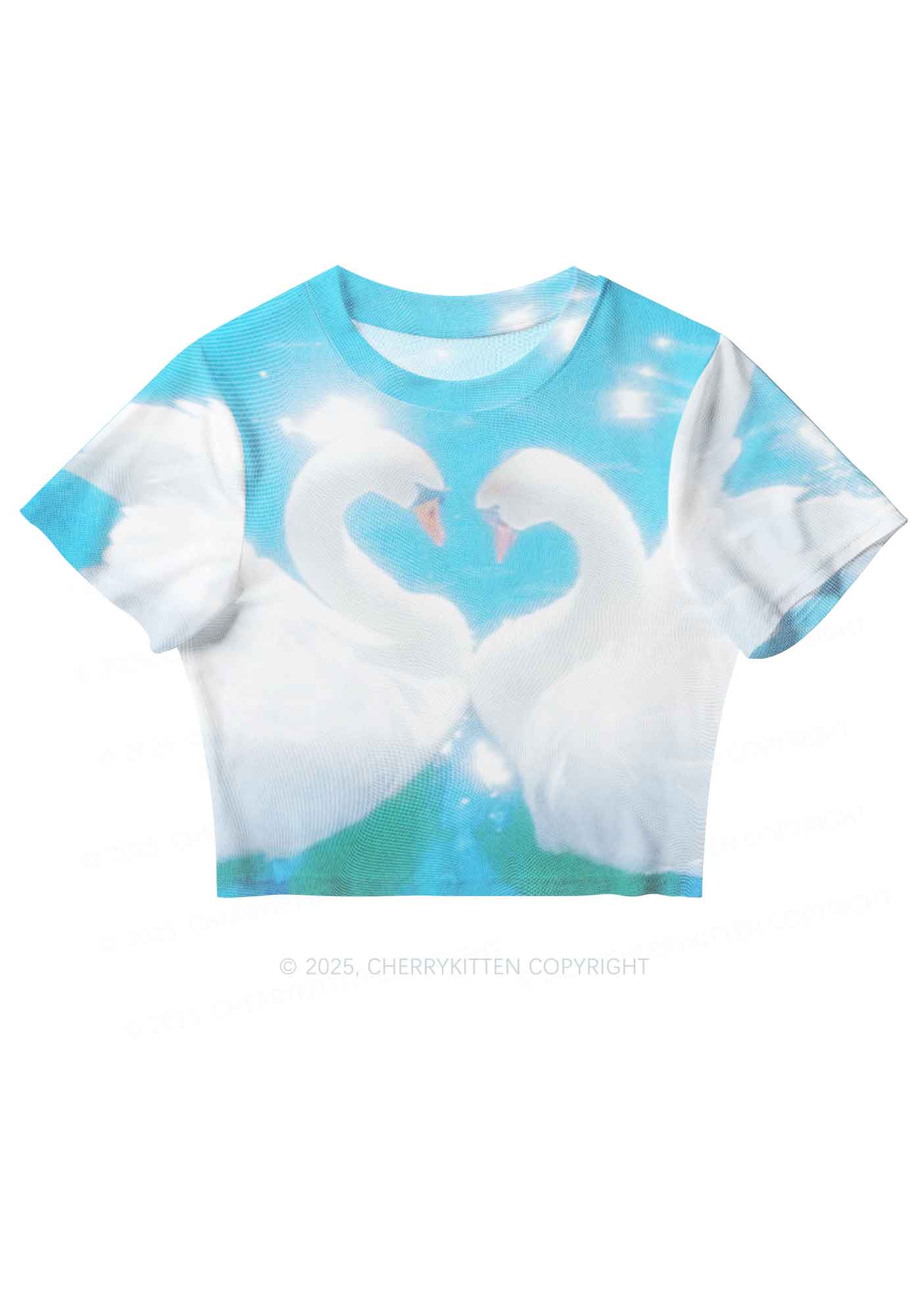 Swan Lovers Y2K Mesh Crop Top Cherrykitten