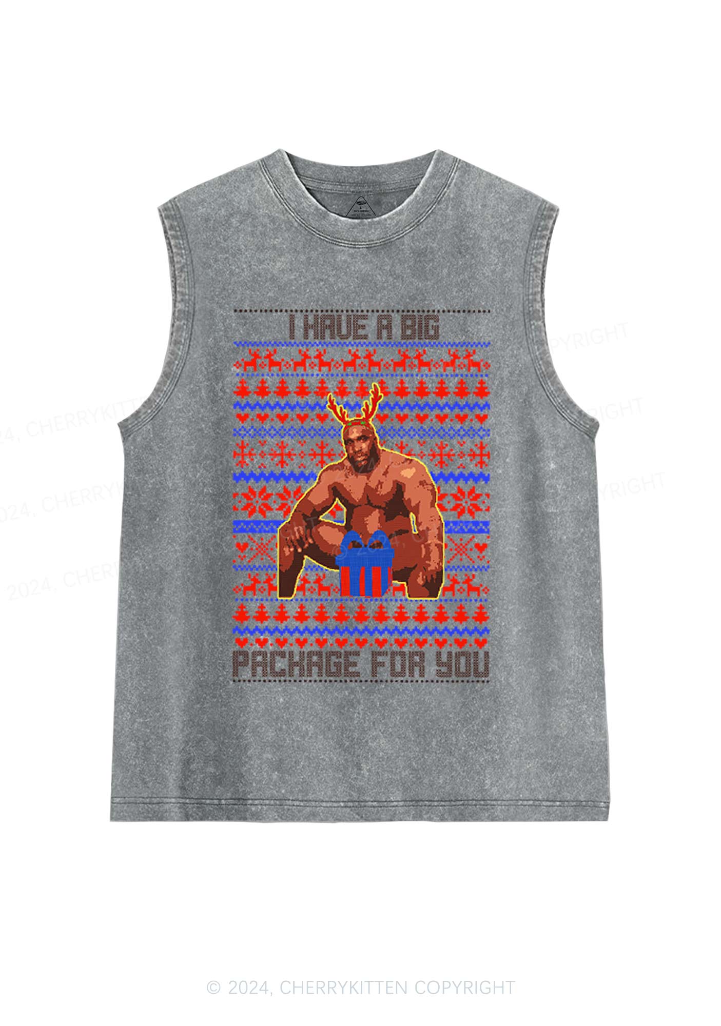 Big Pachage For You Y2K Washed Tank Cherrykitten