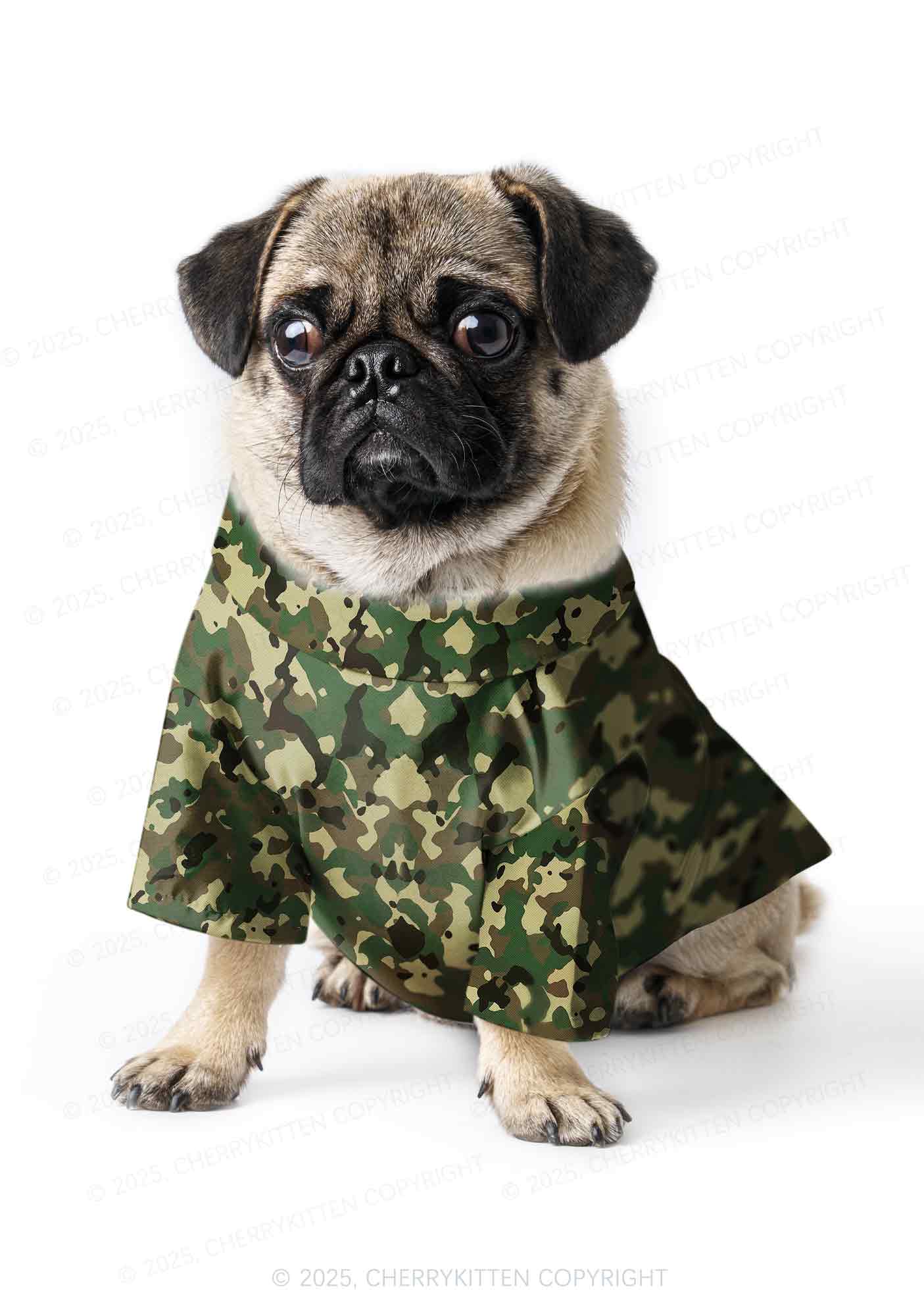 Whos A Good Boy Y2K Pet Shirts Cherrykitten