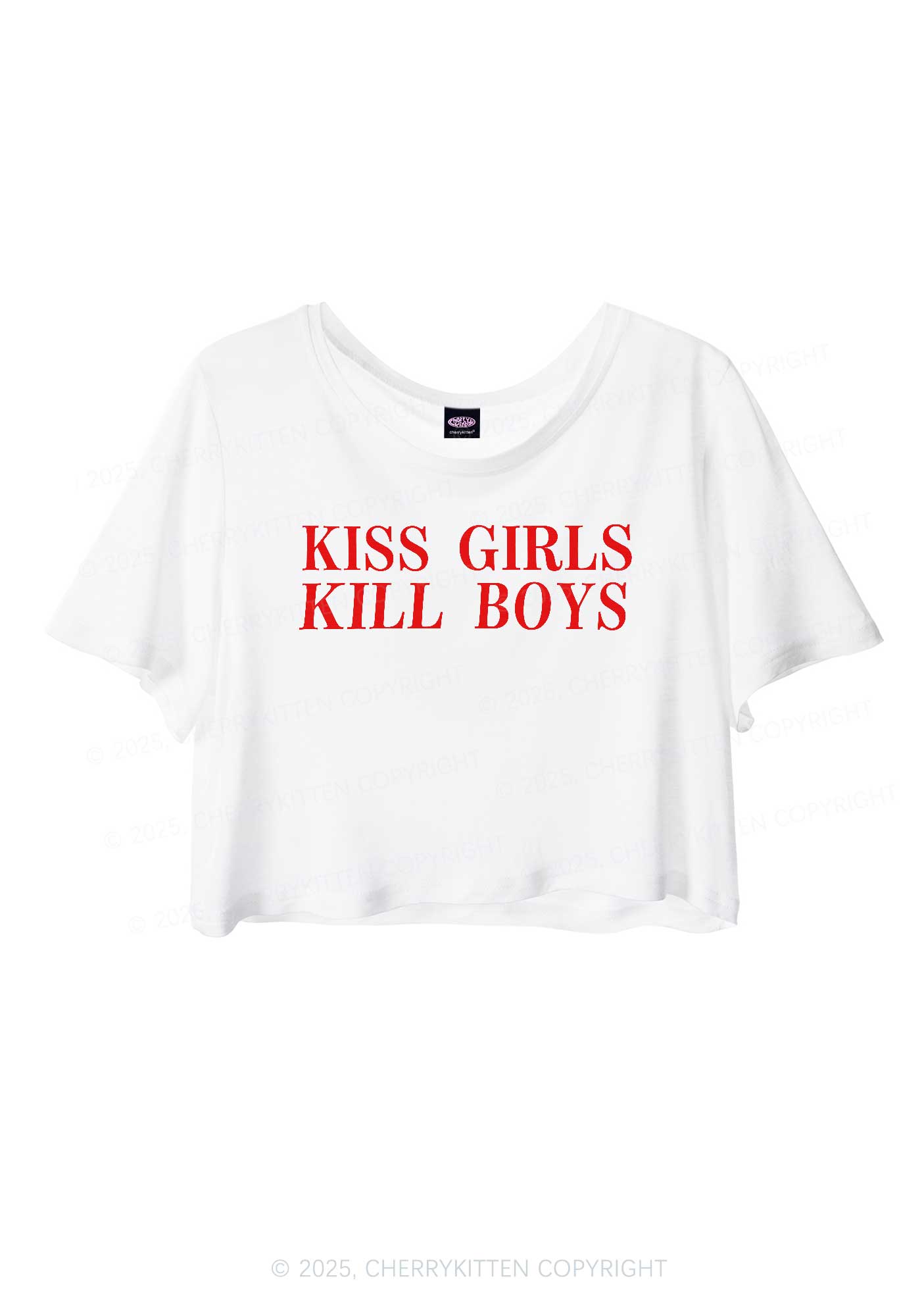 Kiss Girls Pride Y2K Sheer Crop Tee Cherrykitten