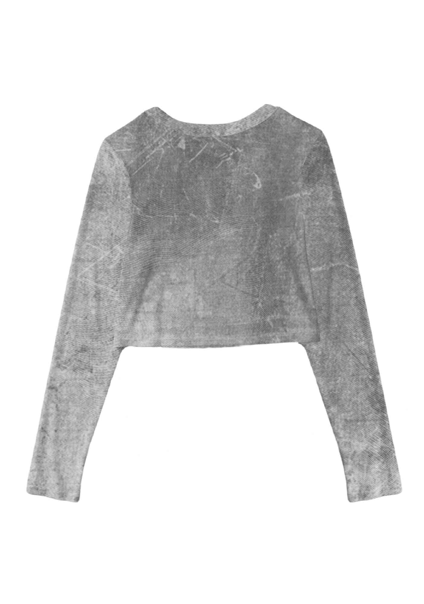 Vintage Cowgirl Y2K Mesh Long Sleeve Crop Top Cherrykitten