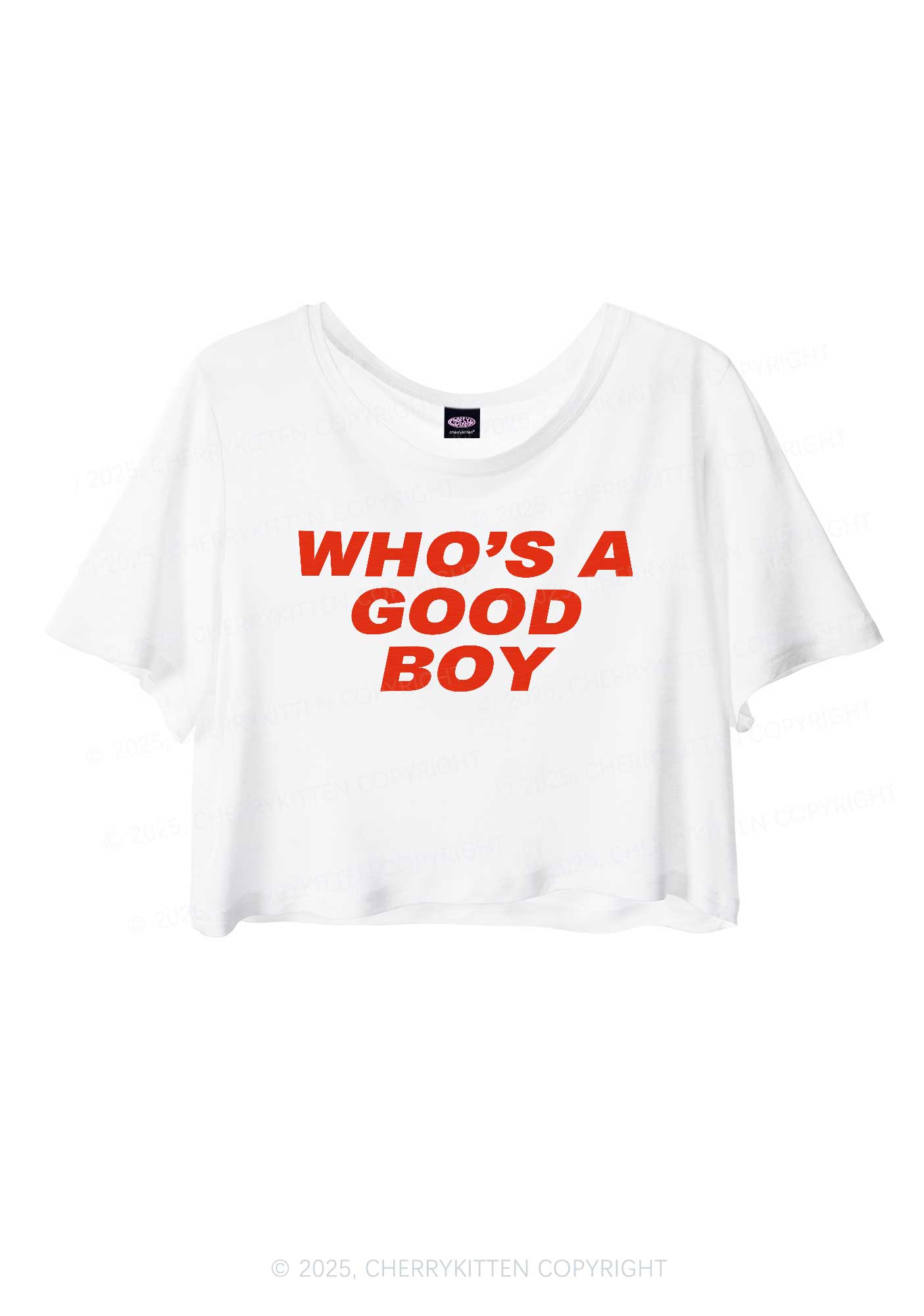 Who's A Good Boy Y2K Sheer Crop Tee Cherrykitten