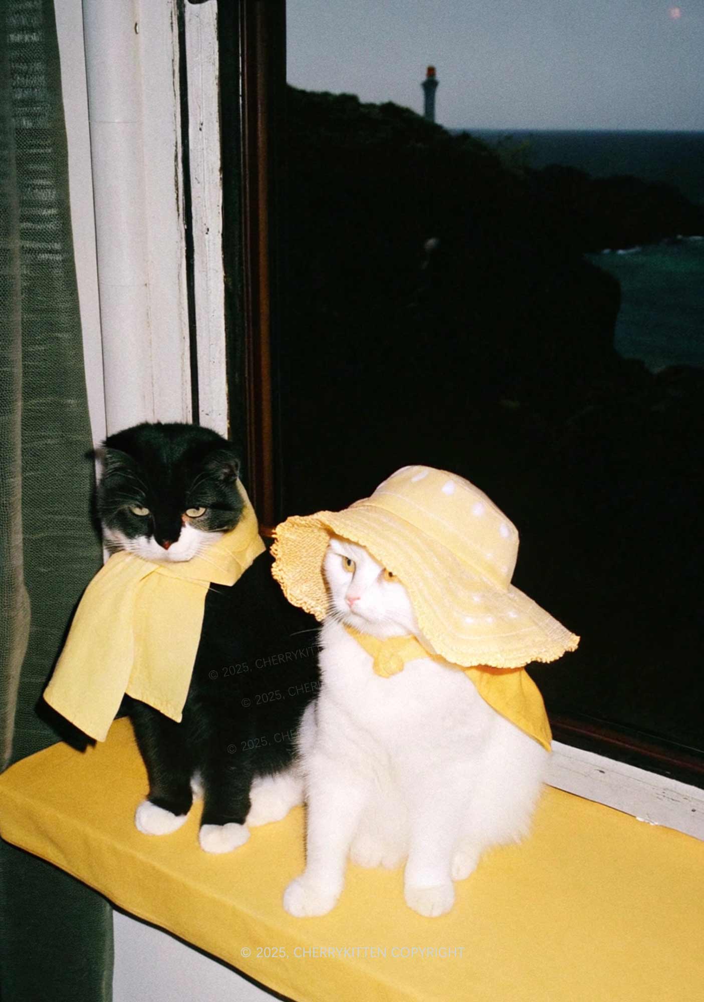 Cats Friend Y2K Print Midi Skirt Cherrykitten