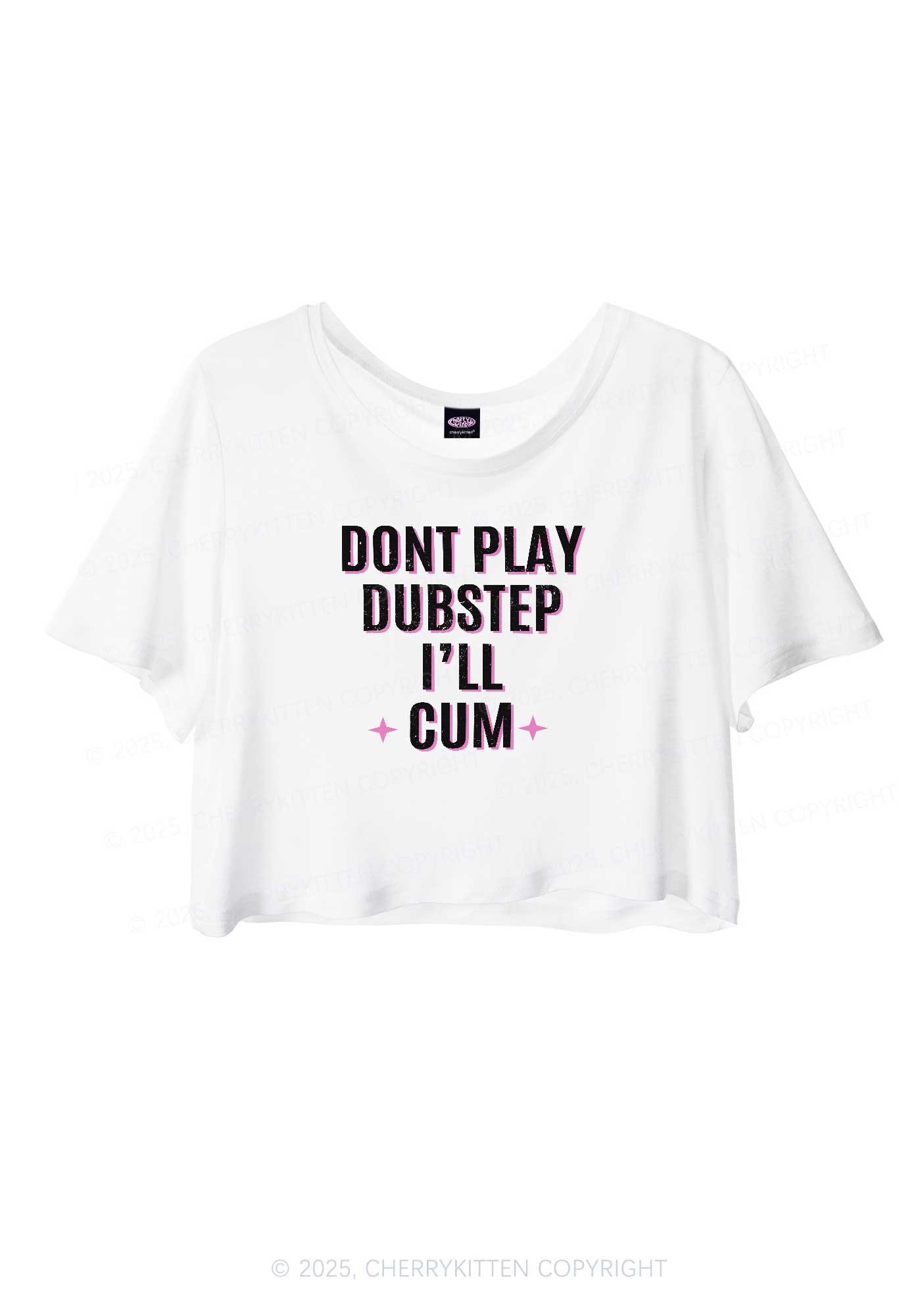 Dont Play Dubstep Y2K Sheer Crop Tee Cherrykitten