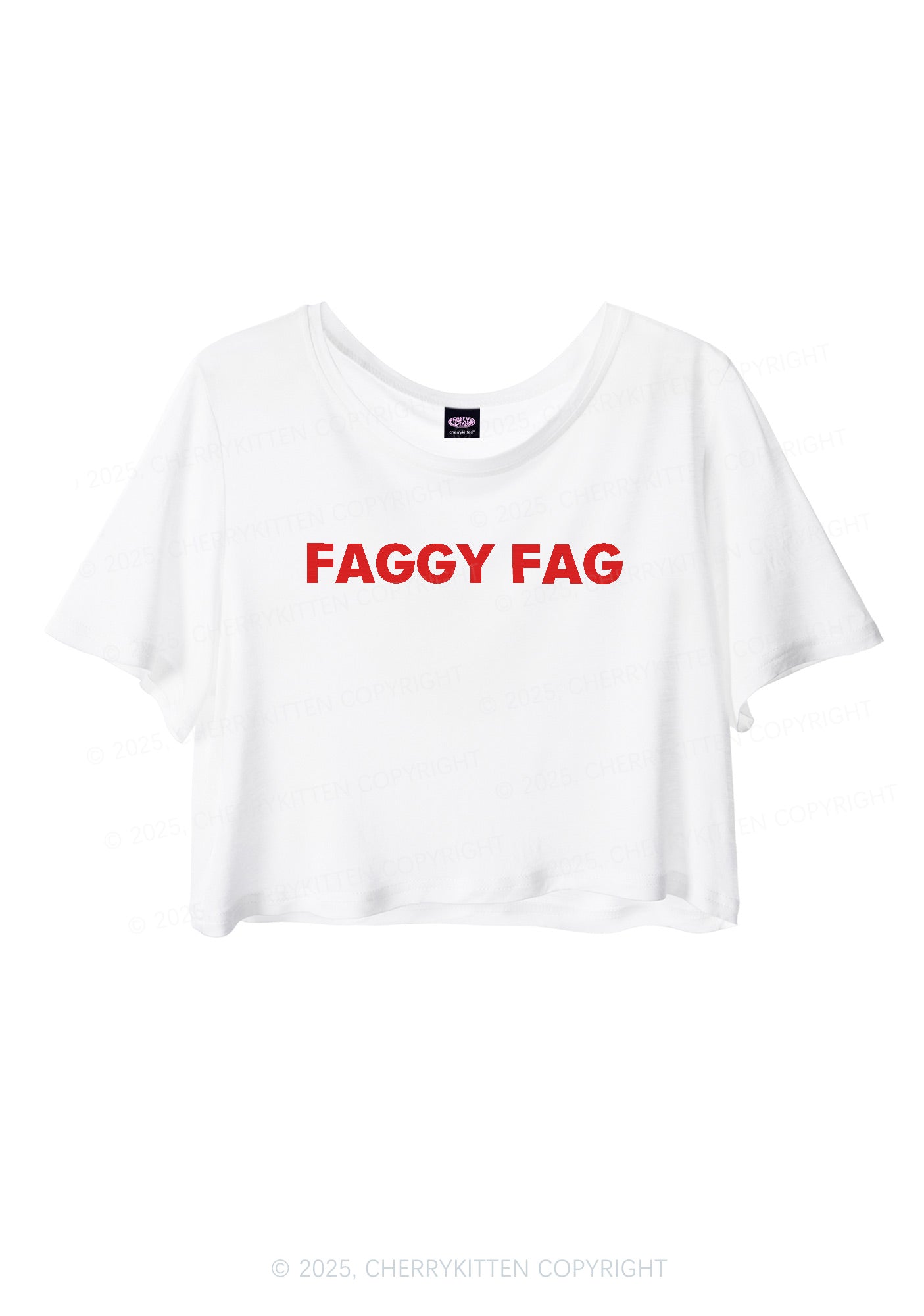 Faggy Fag Pride Y2K Sheer Crop Tee Cherrykitten