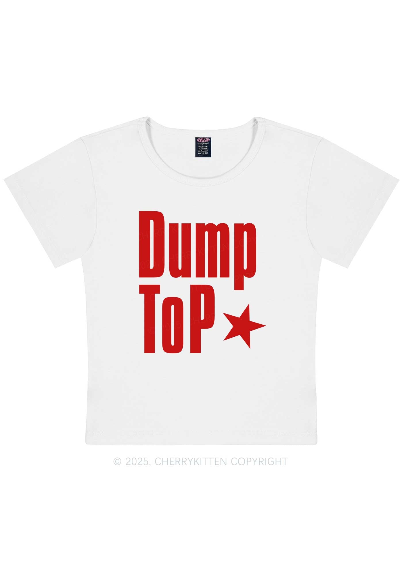 Dump Top Pride Y2K Baby Tee Cherrykitten