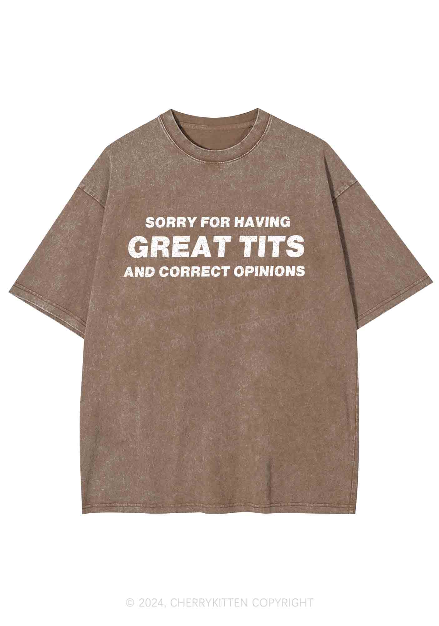 Sorry For Having Correct Opinions Y2K Washed Tee Cherrykitten