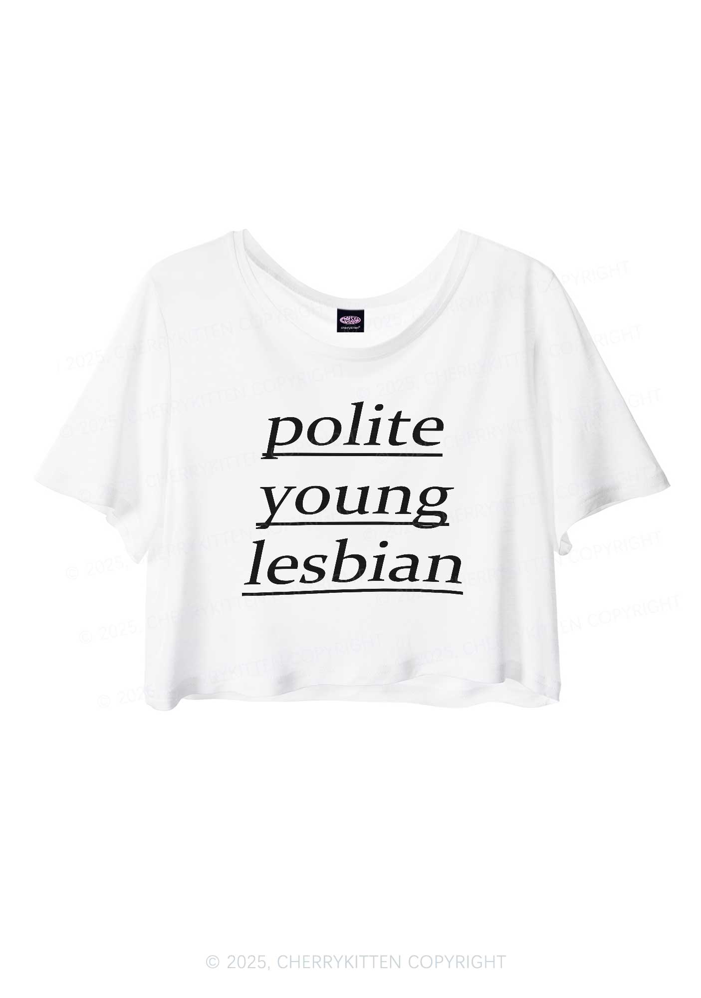Polite Young Lesbian Pride Y2K Sheer Crop Tee Cherrykitten