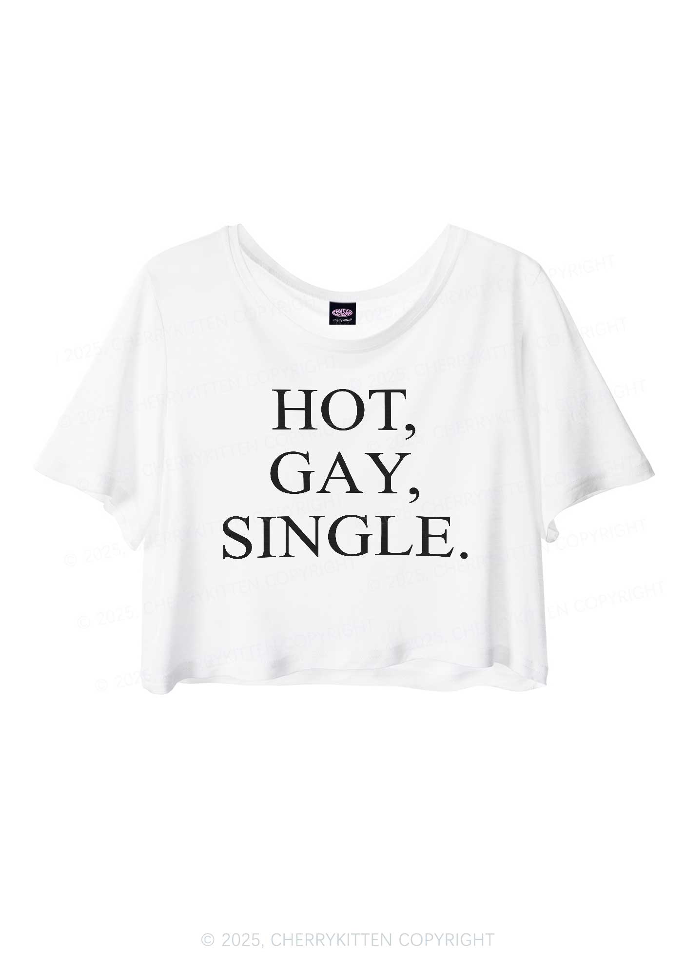 Hot Gay Single Pride Y2K Sheer Crop Tee Cherrykitten