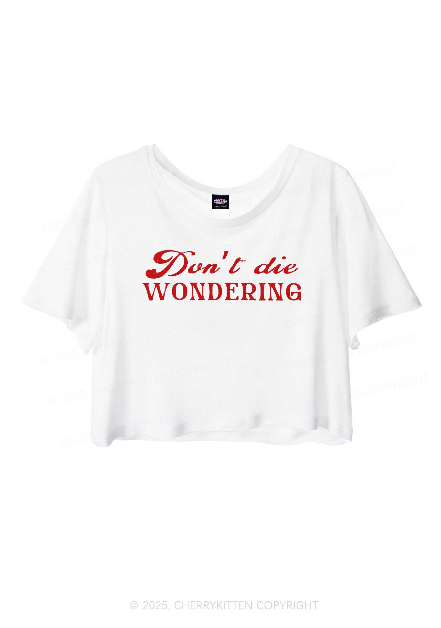Dont Die Wondering Pride Y2K Sheer Crop Tee Cherrykitten