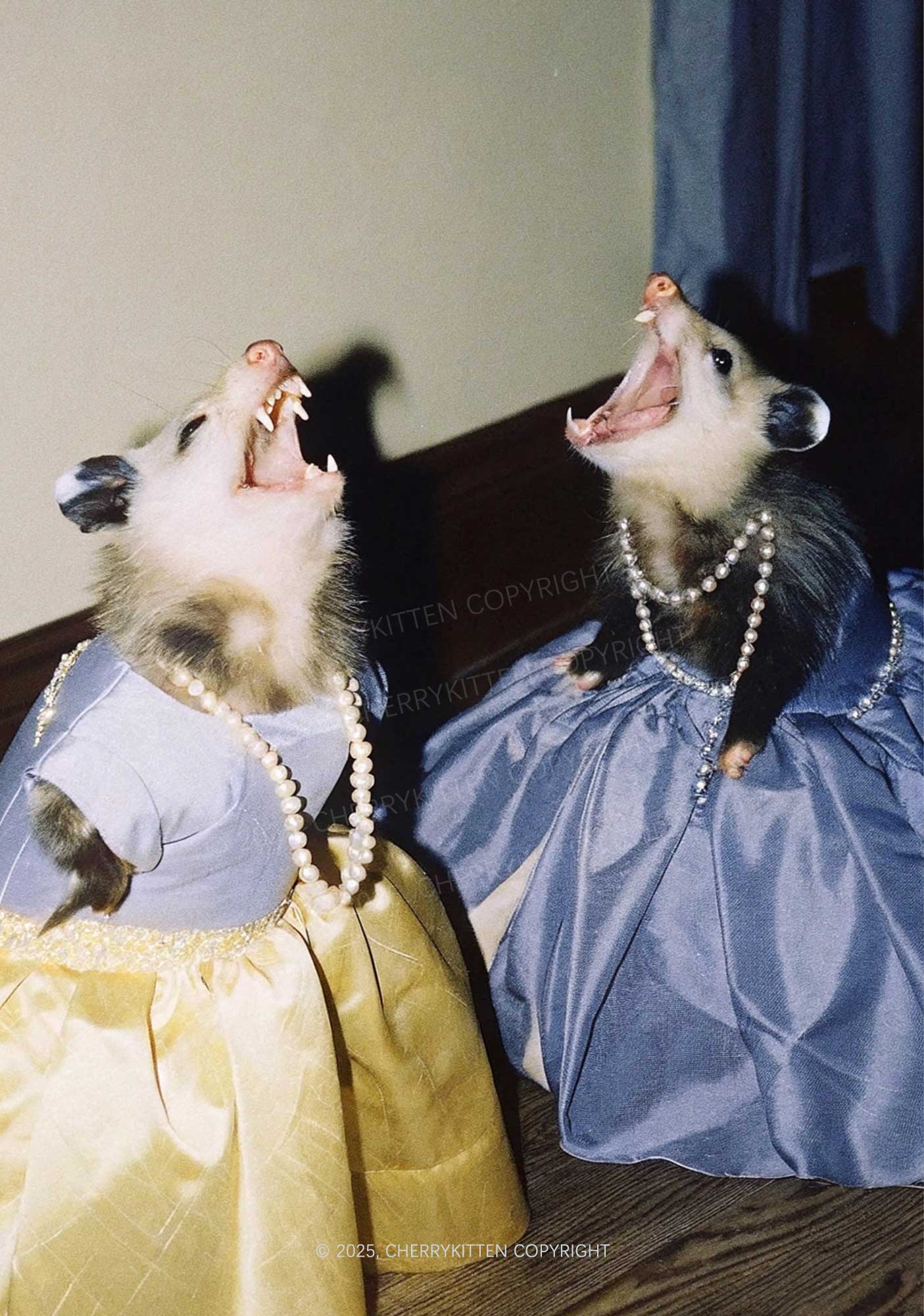 Princess Rats Y2K Print Midi Skirt Cherrykitten