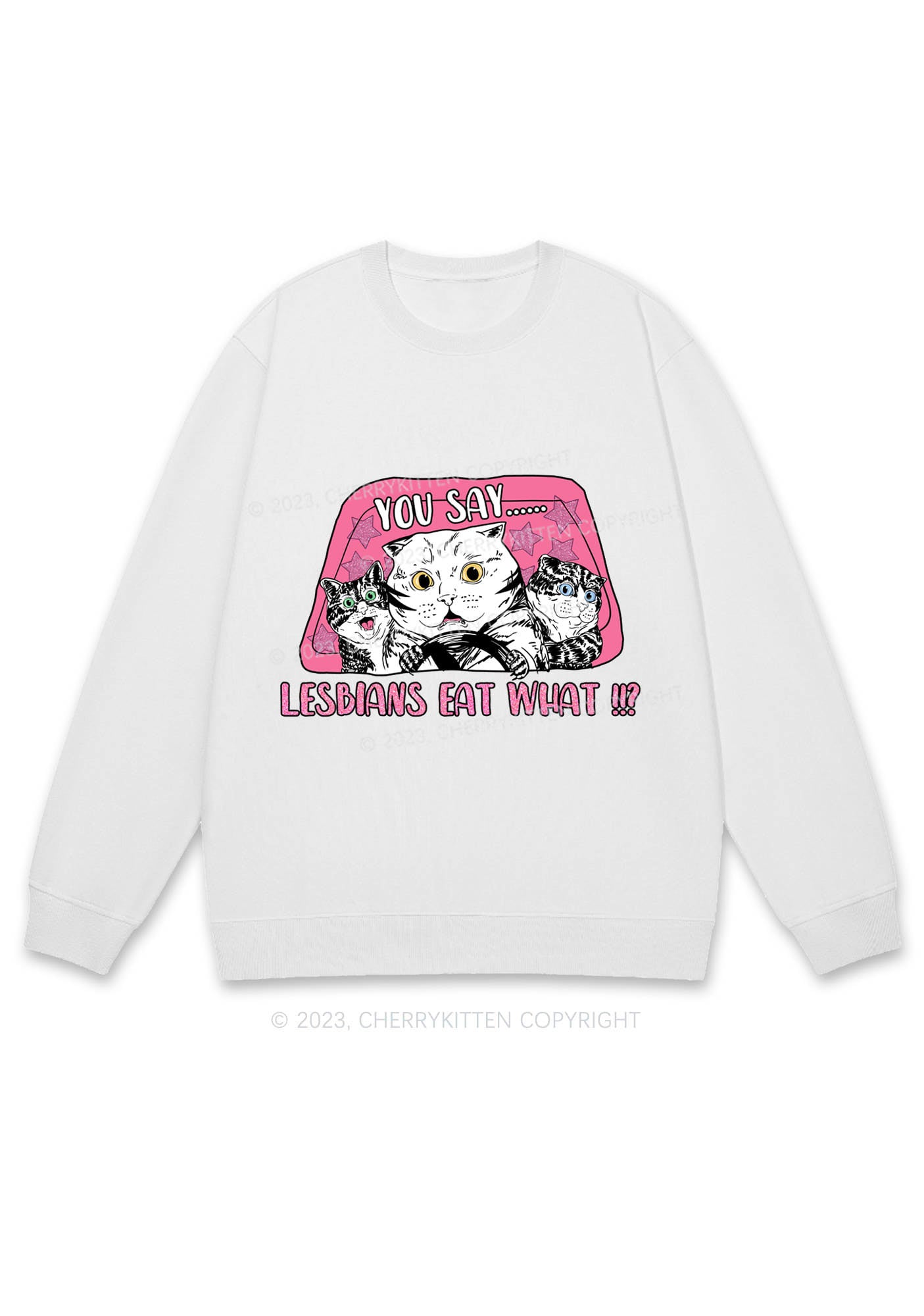 You Say Lesbians Eat What Y2K Sweatshirt Cherrykitten