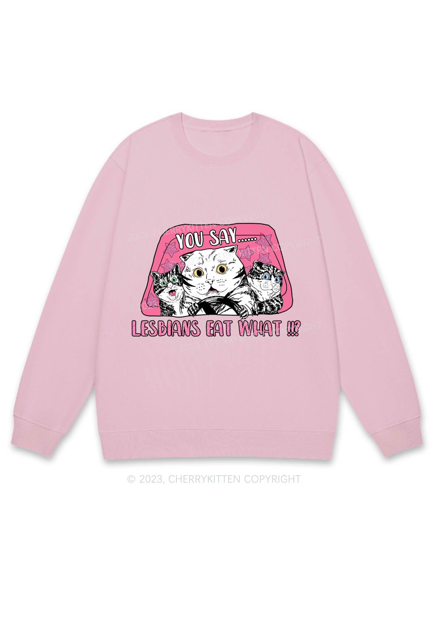 You Say Lesbians Eat What Y2K Sweatshirt Cherrykitten