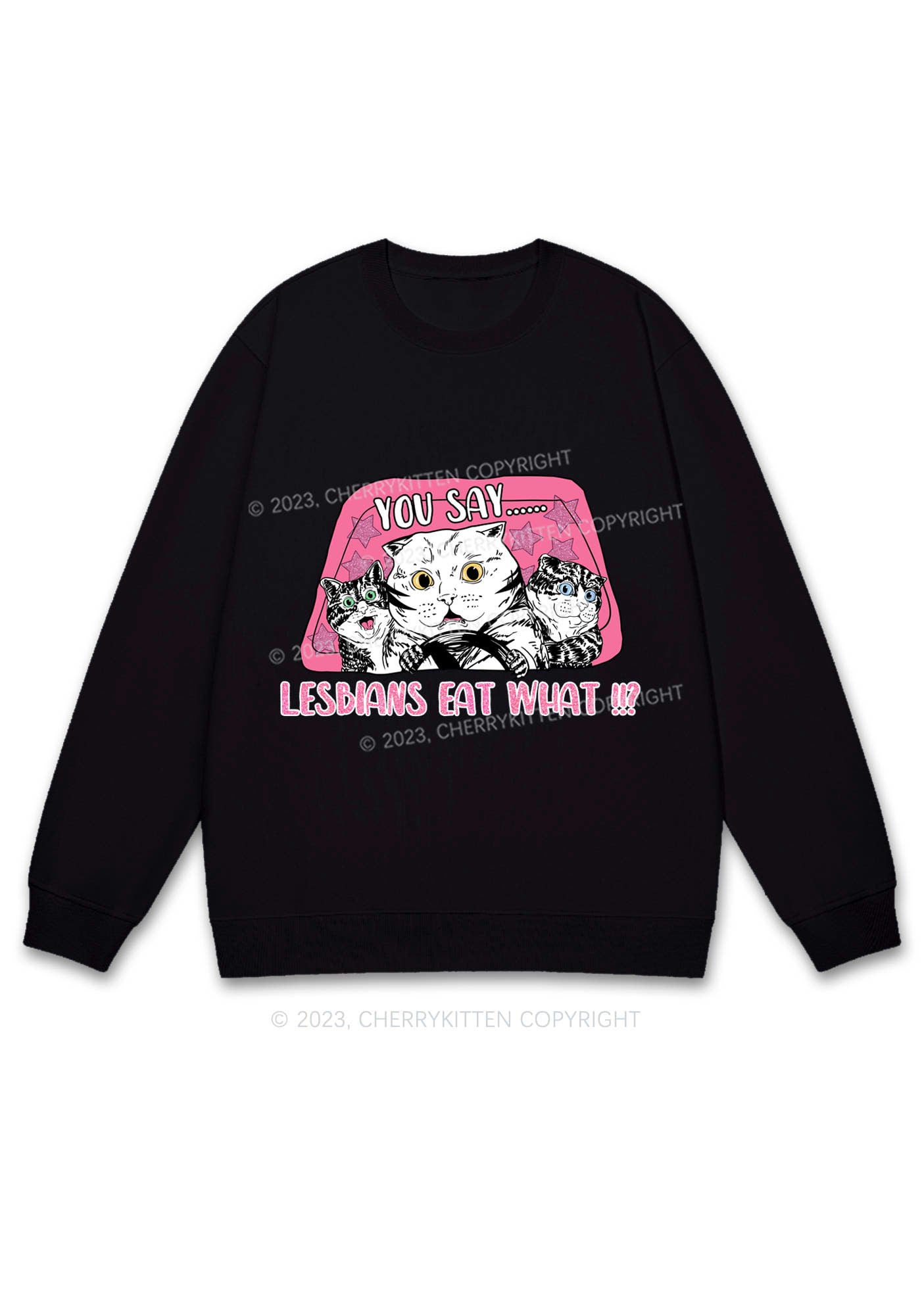 You Say Lesbians Eat What Y2K Sweatshirt Cherrykitten