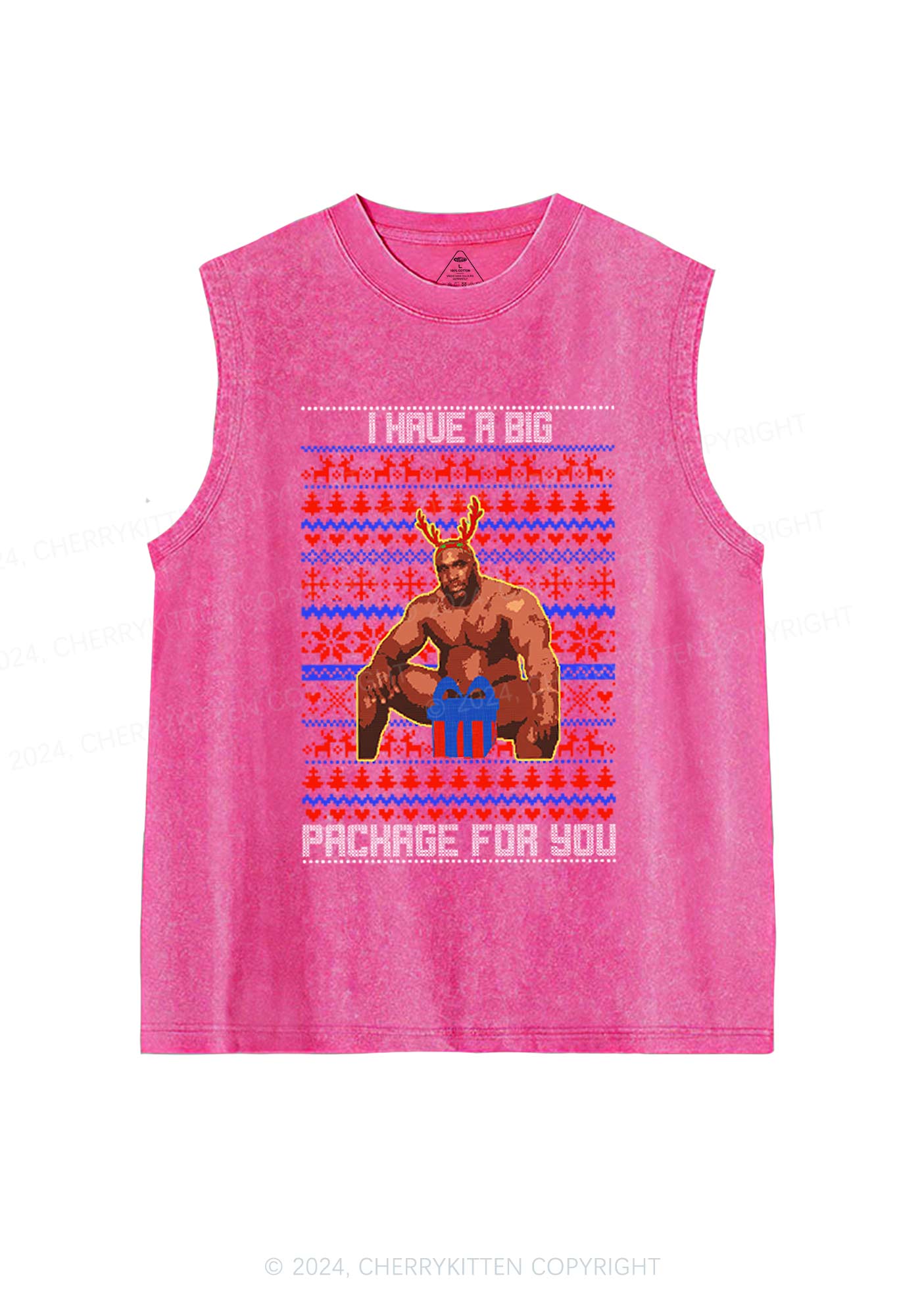Big Pachage For You Y2K Washed Tank Cherrykitten
