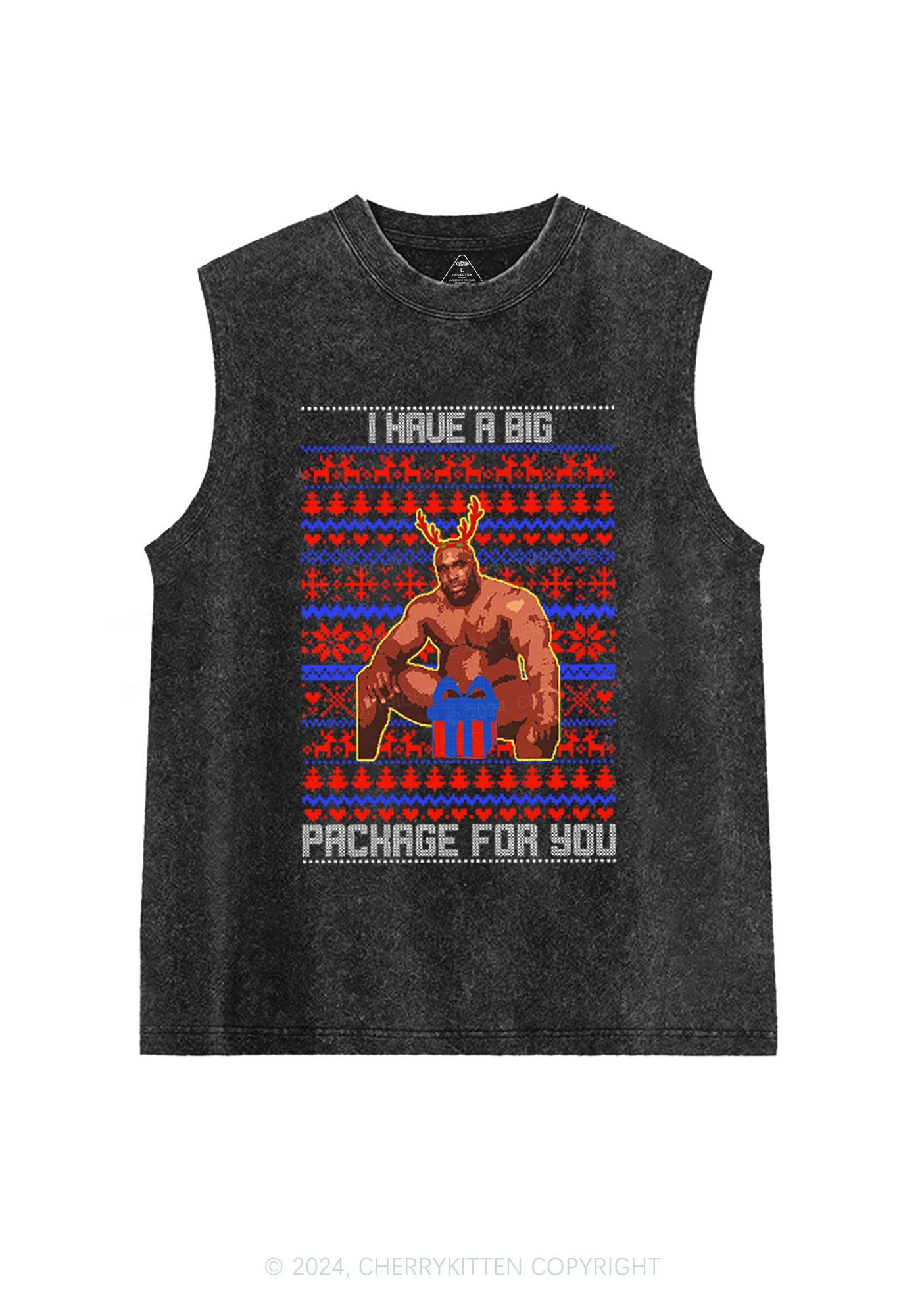Big Pachage For You Y2K Washed Tank Cherrykitten