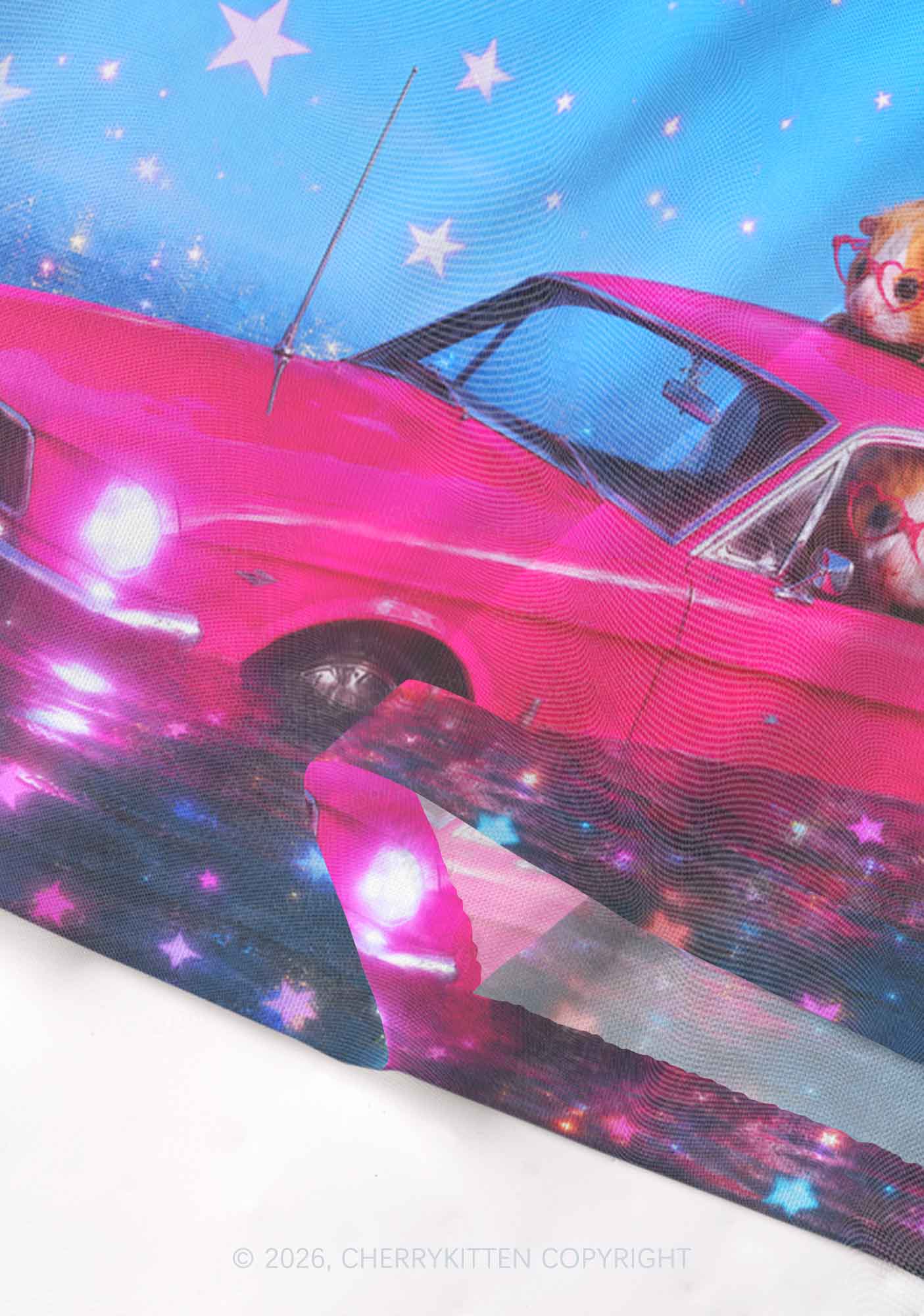 Two Guinea Pigs On Pink Car Y2K Mesh Crop Top Cherrykitten