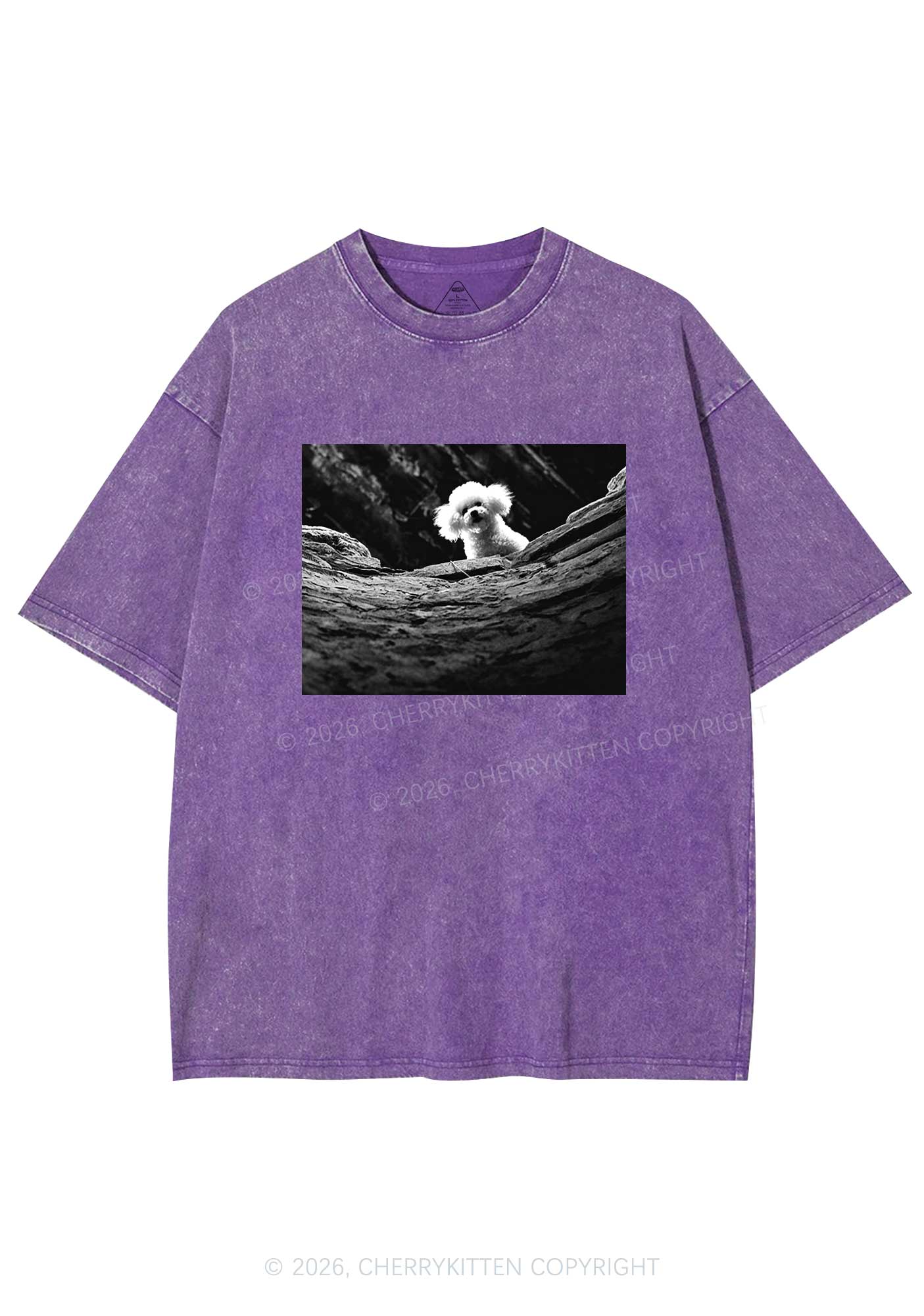 Halloween Bichon Frise Dog Y2K Shirts Washed Tee Cherrykitten
