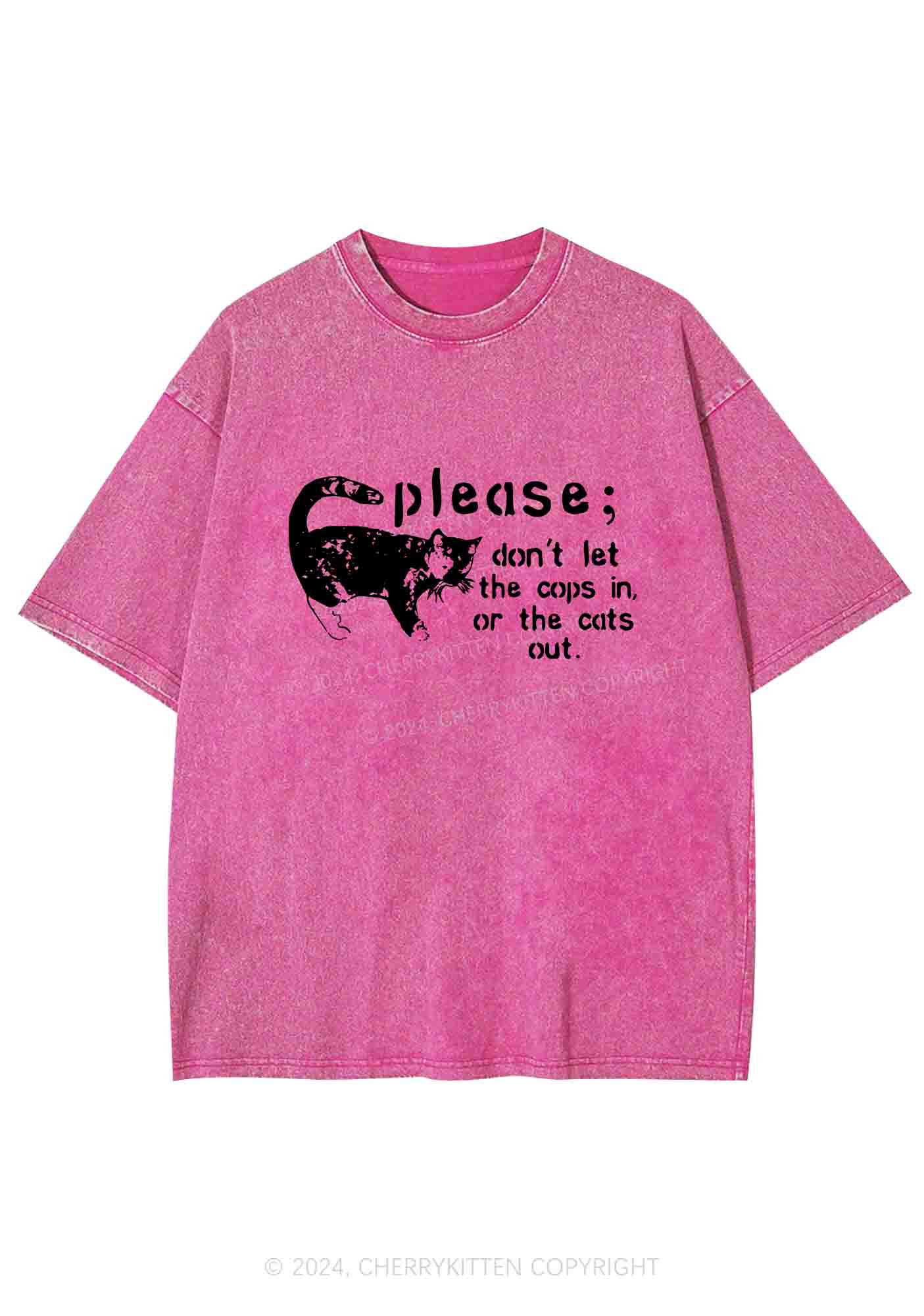 Please Don't Let The Cops In Y2K Washed Tee Cherrykitten