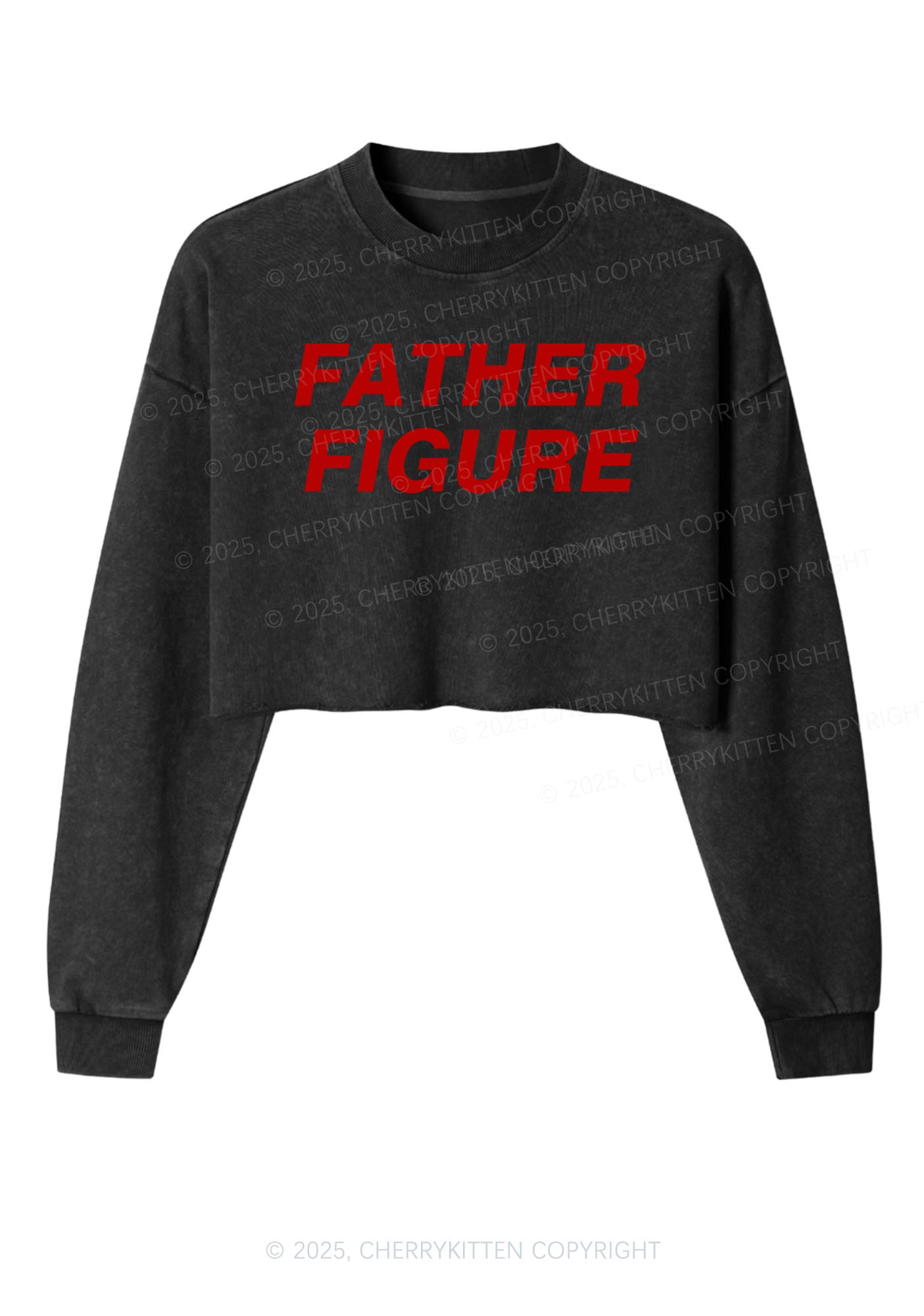Father Figure Y2K Crop Washed Sweatshirts Cherrykitten
