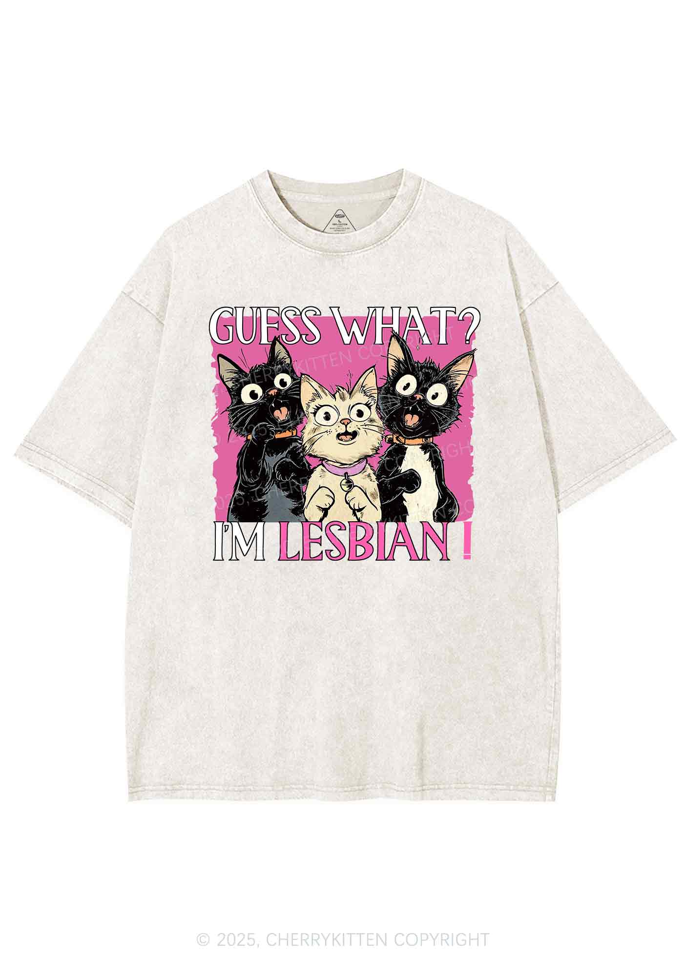 Im Lesbian Cat Pride Y2K Shirts Washed Tee Cherrykitten