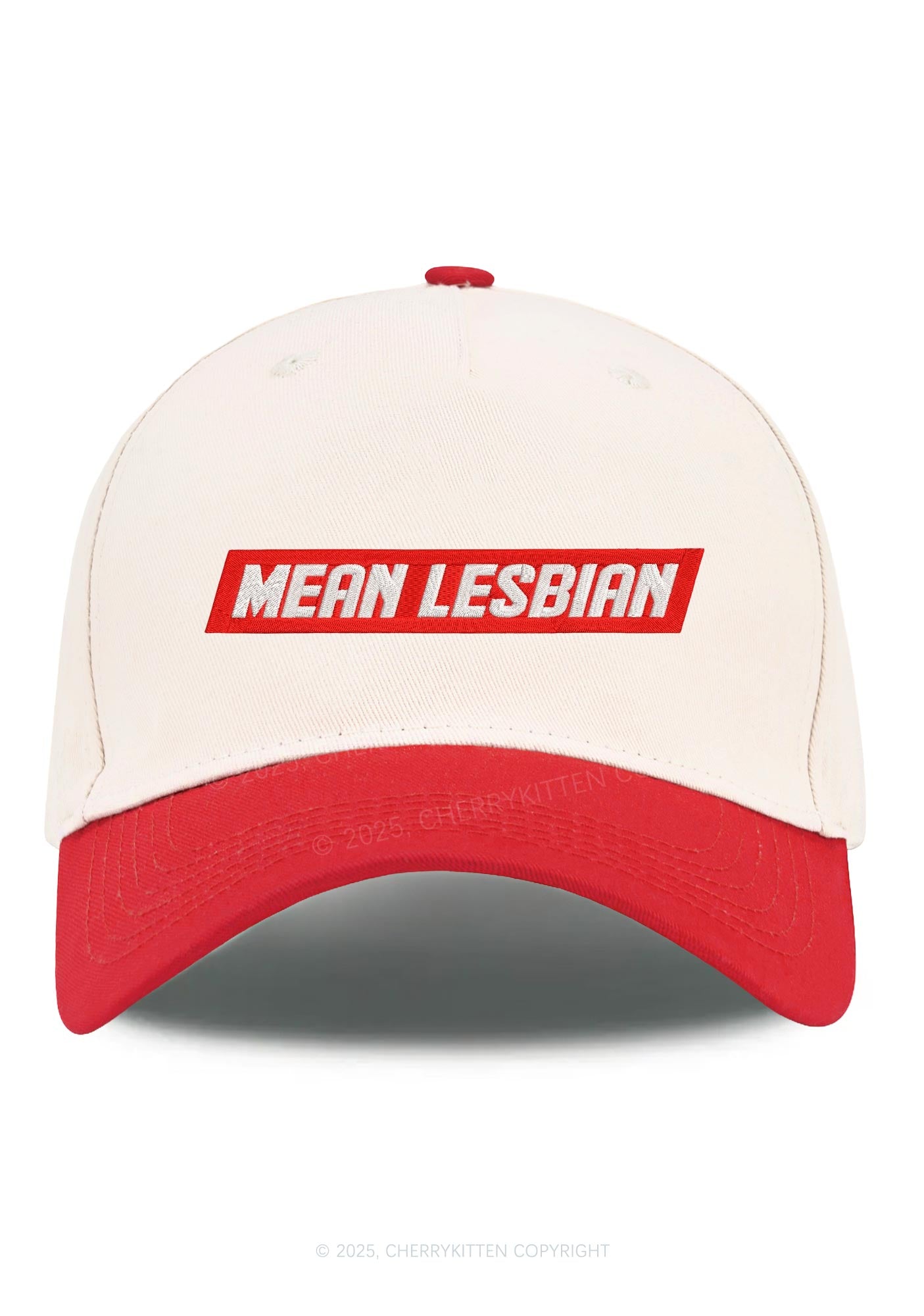 Embroidered Mean Lesbian Pride Y2K Color Block Baseball Cap Cherrykitten