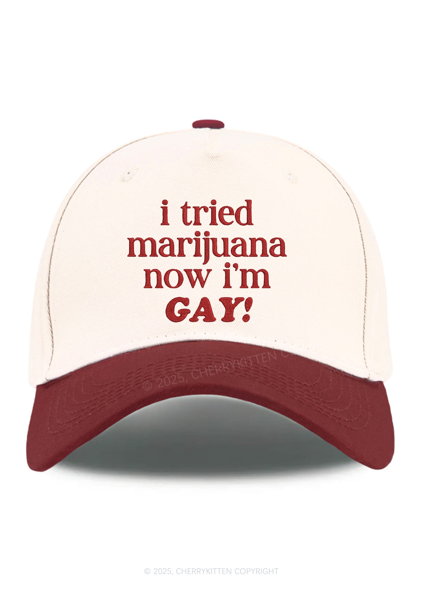 Embroidered Now Im Gay Pride Y2K Color Block Baseball Cap Cherrykitten