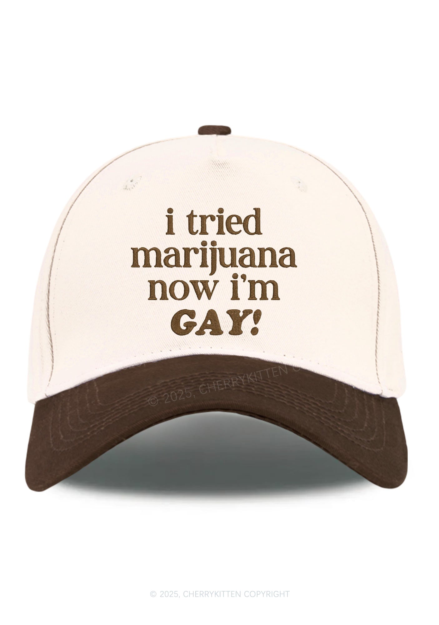 Embroidered Now Im Gay Pride Y2K Color Block Baseball Cap Cherrykitten