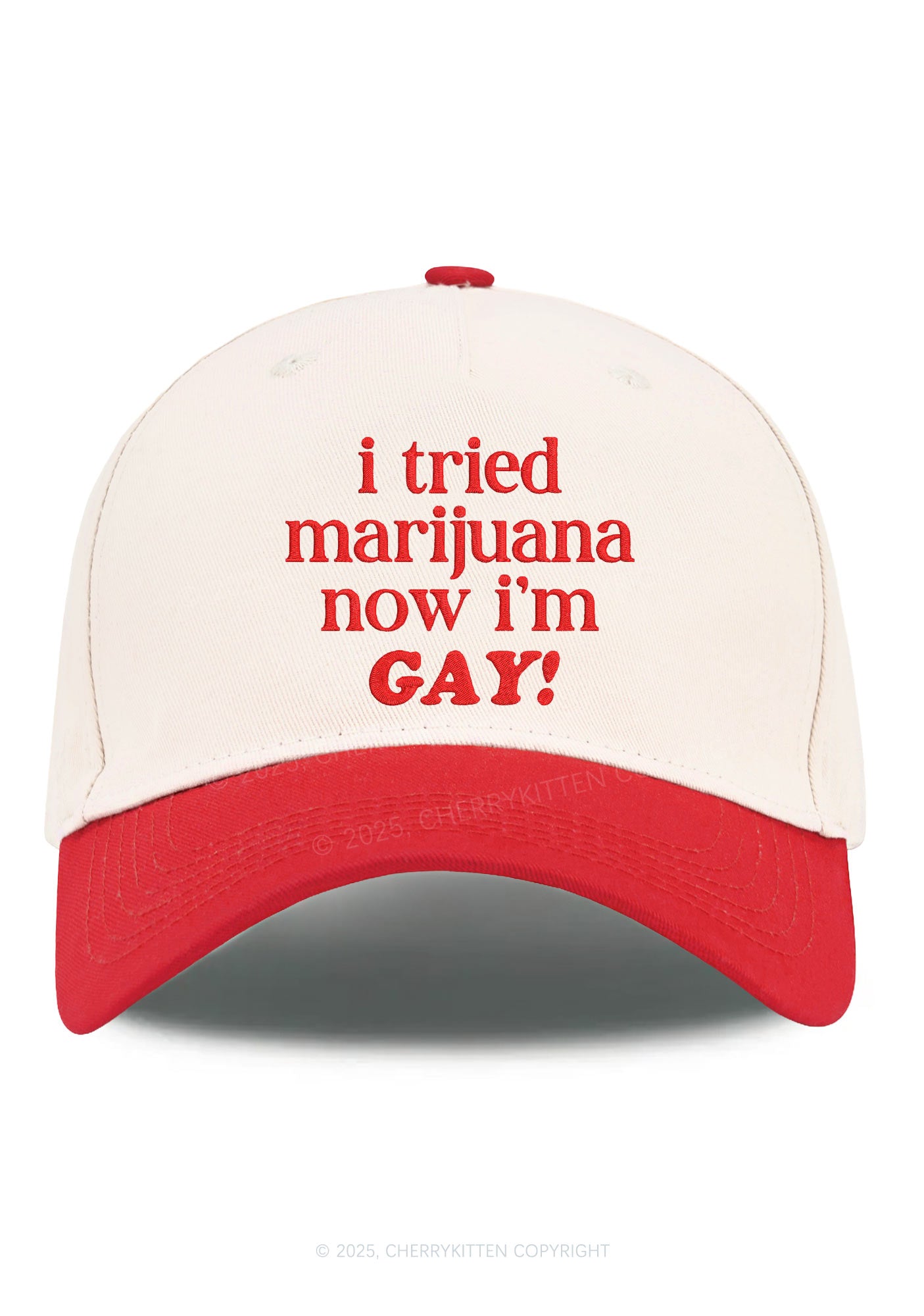 Embroidered Now Im Gay Pride Y2K Color Block Baseball Cap Cherrykitten