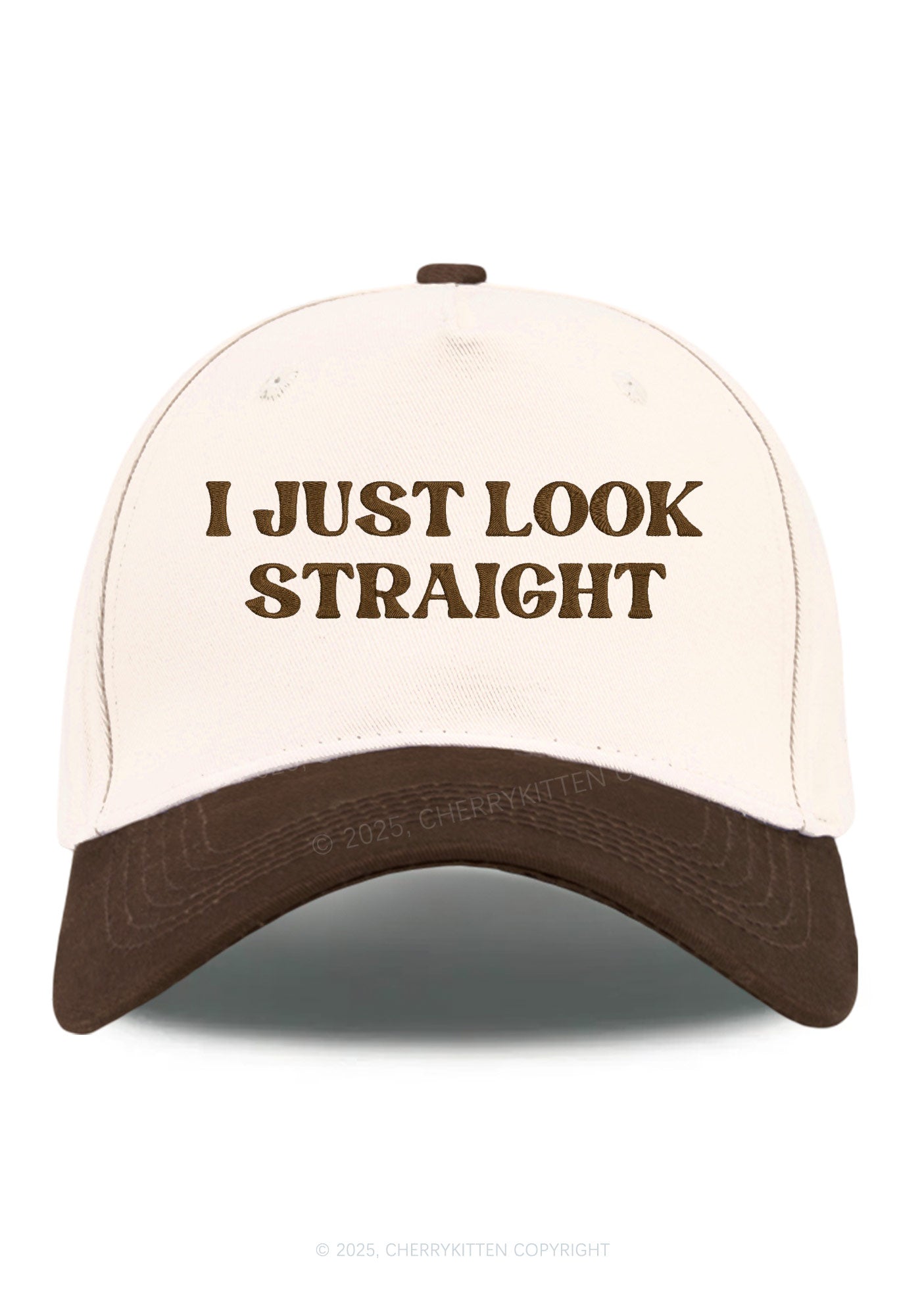 Embroidered I Just Look Straight Pride Y2K Color Block Baseball Cap Cherrykitten