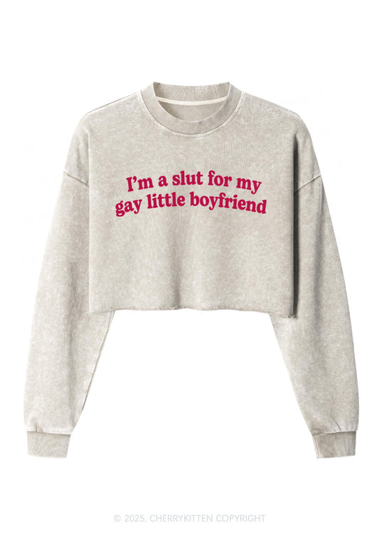 Slxt For My Gay BF Y2K Crop Washed Sweatshirts Cherrykitten