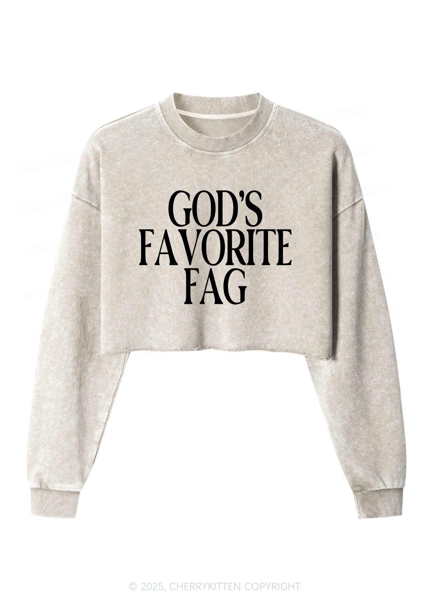 Gods Favorite Fag Pride Y2K Crop Washed Sweatshirts Cherrykitten
