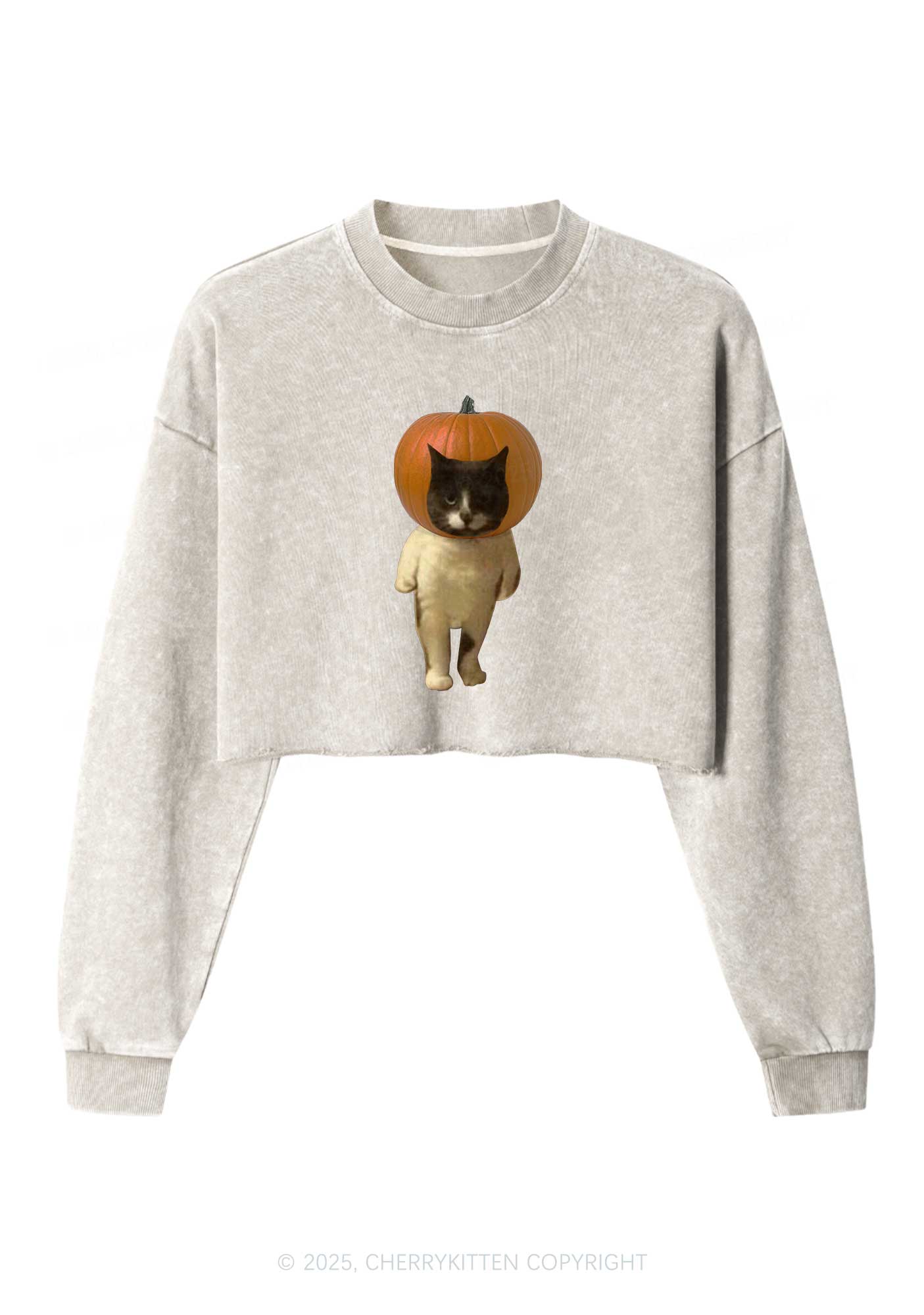 Halloween Pumpkin Head Cat Y2K Crop Washed Sweatshirts Cherrykitten