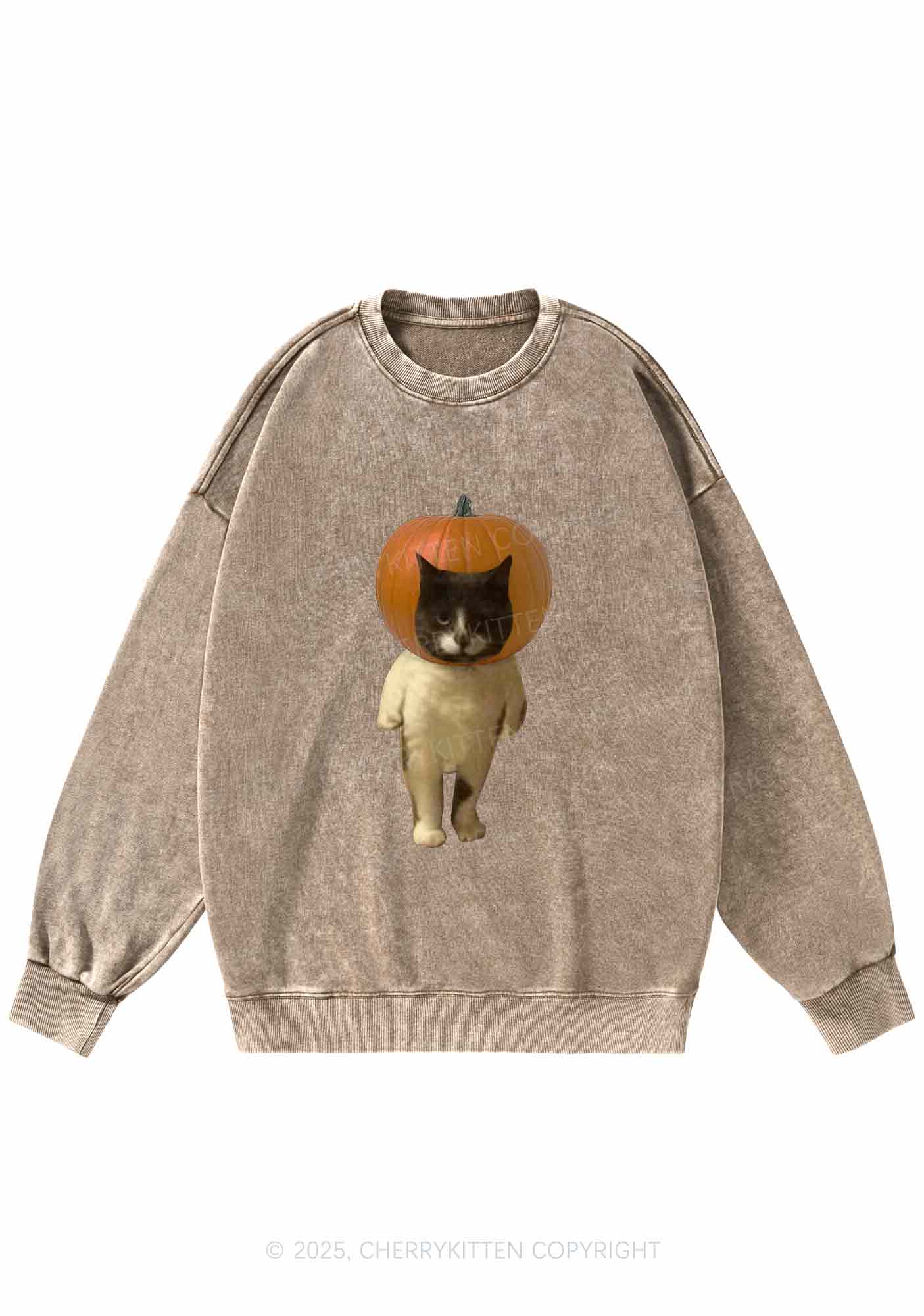 Halloween Pumpkin Head Cat Y2K Washed Sweatshirts Cherrykitten