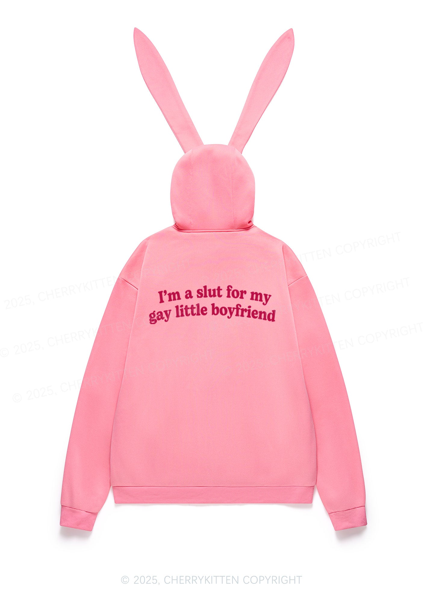 Slxt For My Gay BF Y2K Bunny Ear Zip Hoodie Cherrykitten