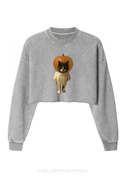 Halloween Pumpkin Head Cat Y2K Crop Washed Sweatshirts Cherrykitten