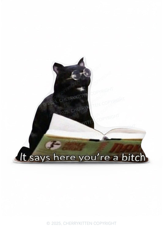 It Says Here Youre A Bxxch Y2K Ugly Pillow Cherrykitten