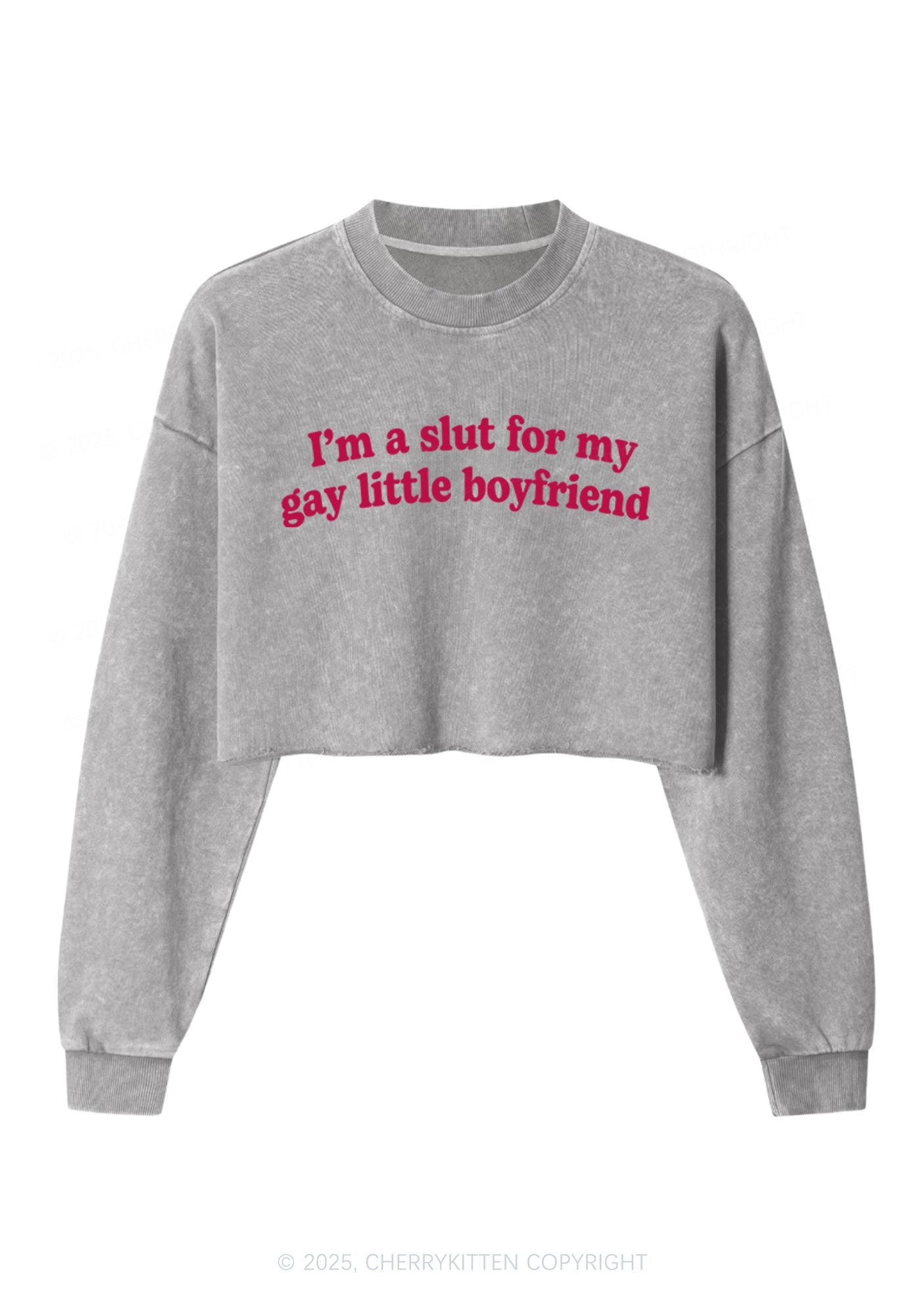Slxt For My Gay BF Y2K Crop Washed Sweatshirts Cherrykitten