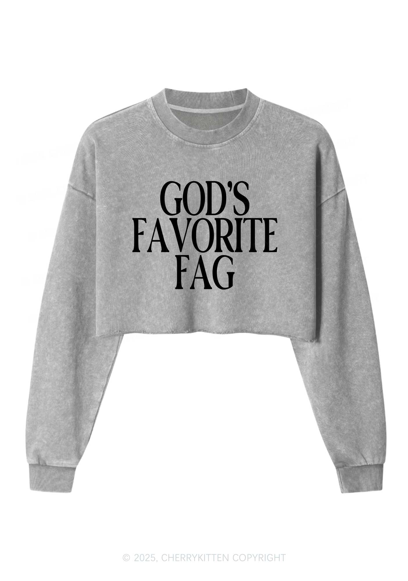 Gods Favorite Fag Pride Y2K Crop Washed Sweatshirts Cherrykitten