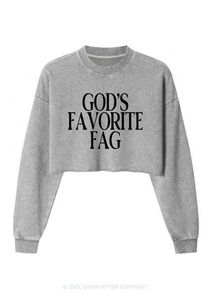 Gods Favorite Fag Pride Y2K Crop Washed Sweatshirts Cherrykitten