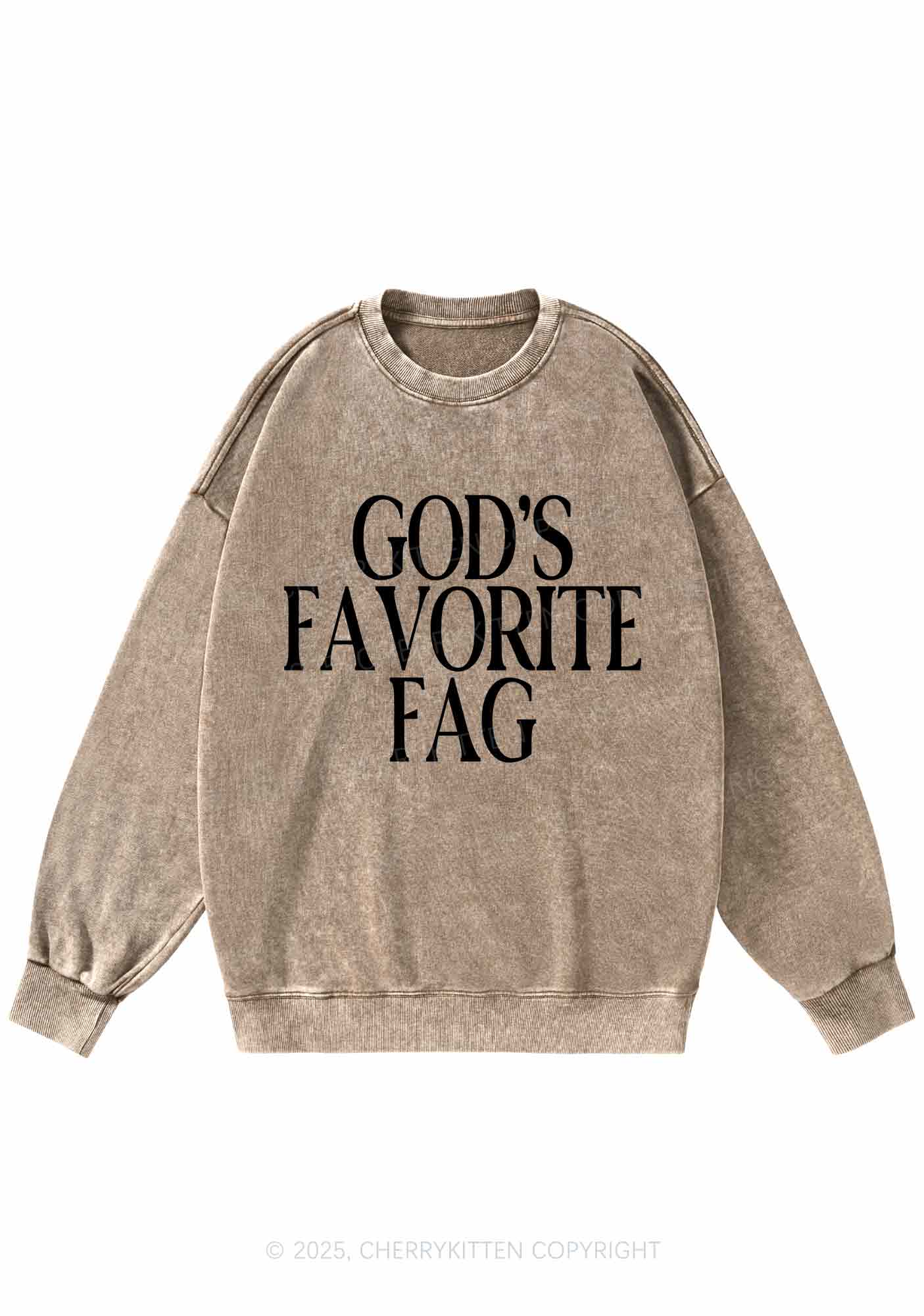 Gods Favorite Fag Pride Y2K Washed Sweatshirts Cherrykitten