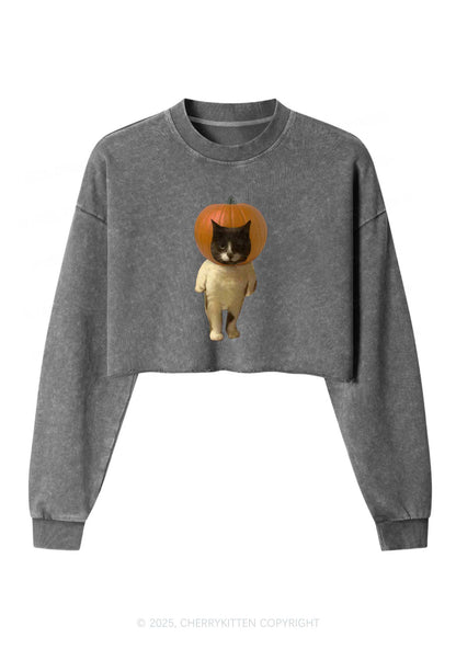 Halloween Pumpkin Head Cat Y2K Crop Washed Sweatshirts Cherrykitten