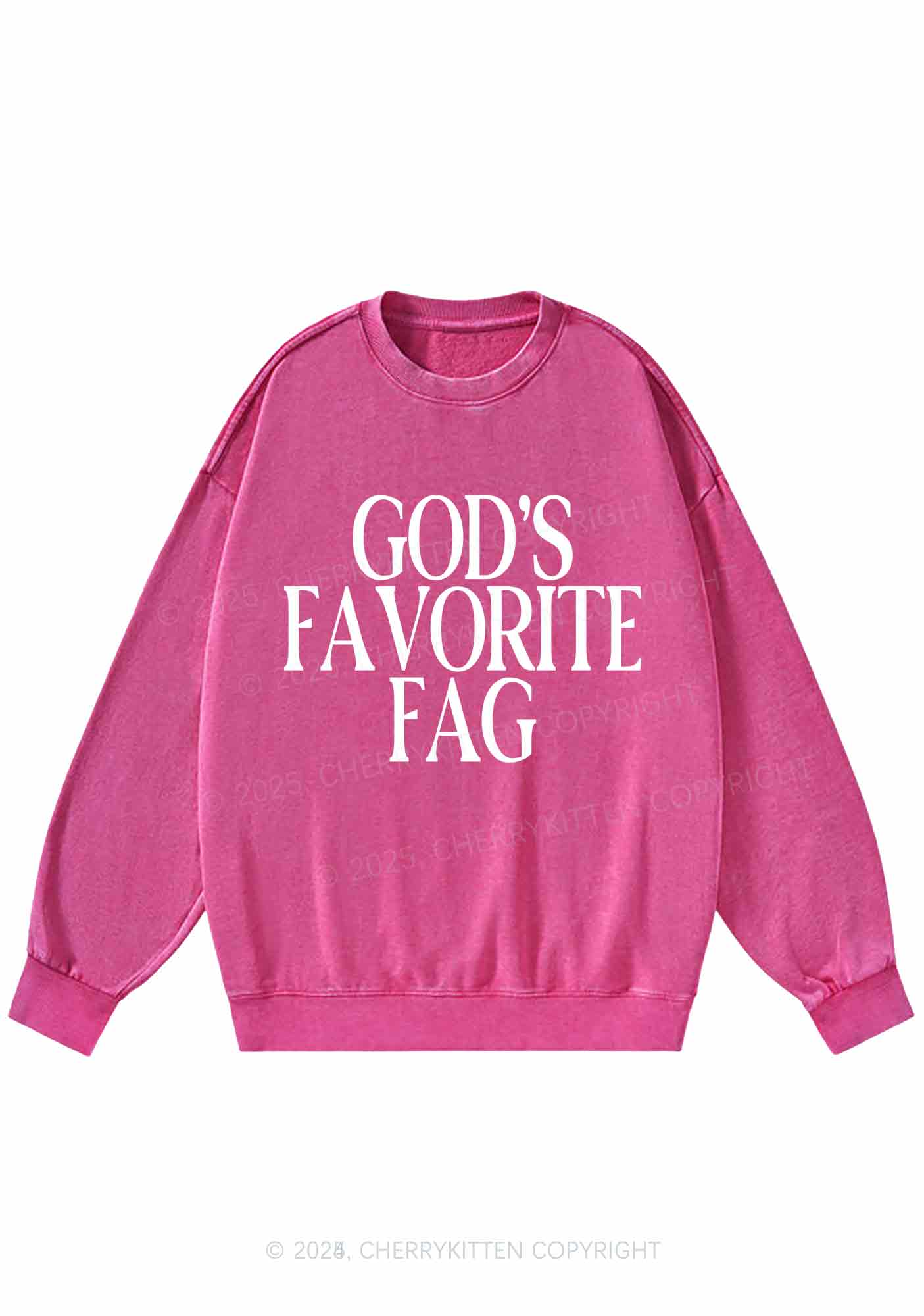 Gods Favorite Fag Pride Y2K Washed Sweatshirts Cherrykitten