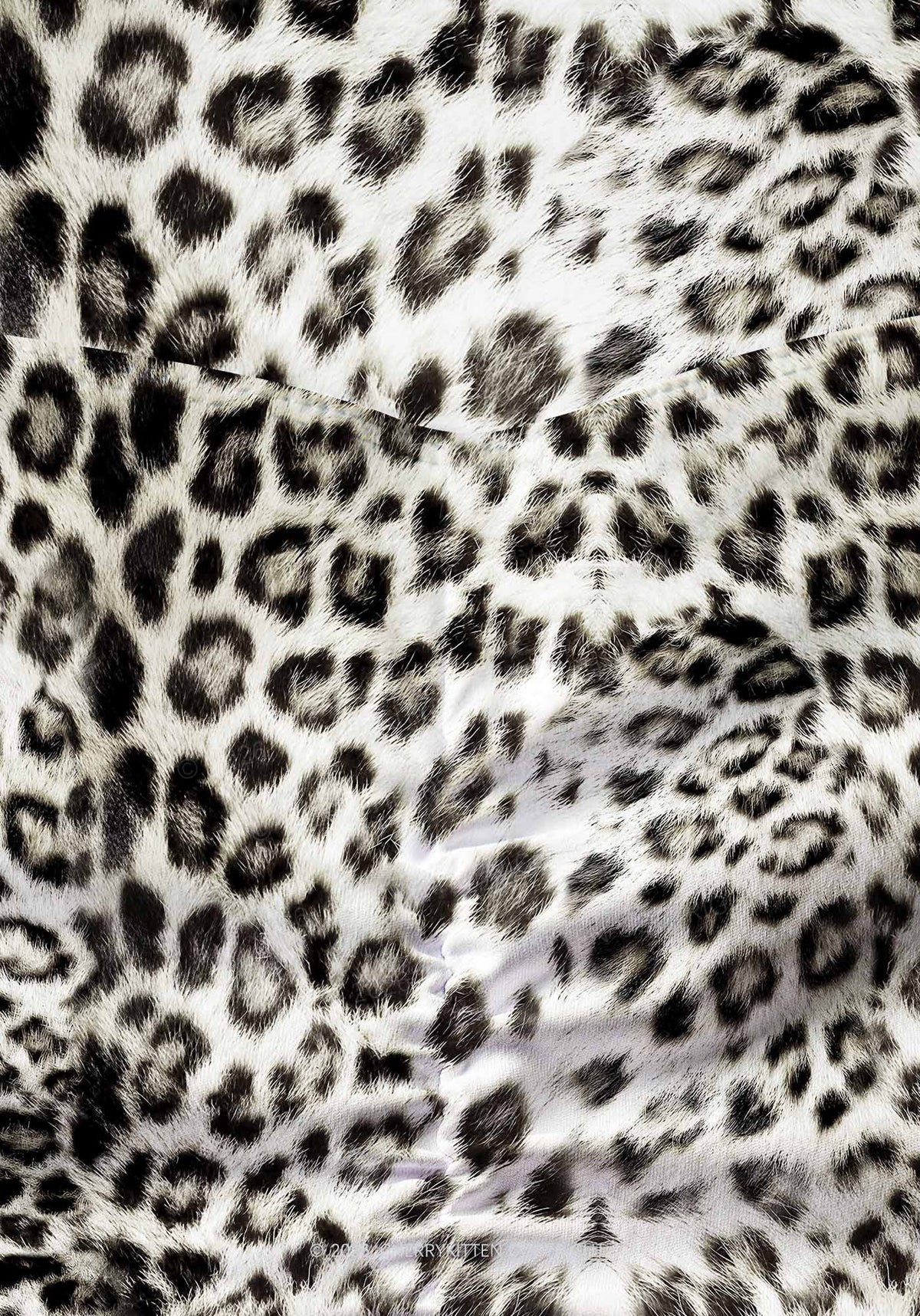 Snow Leopard Y2K Print Gym Shorts Cherrykitten
