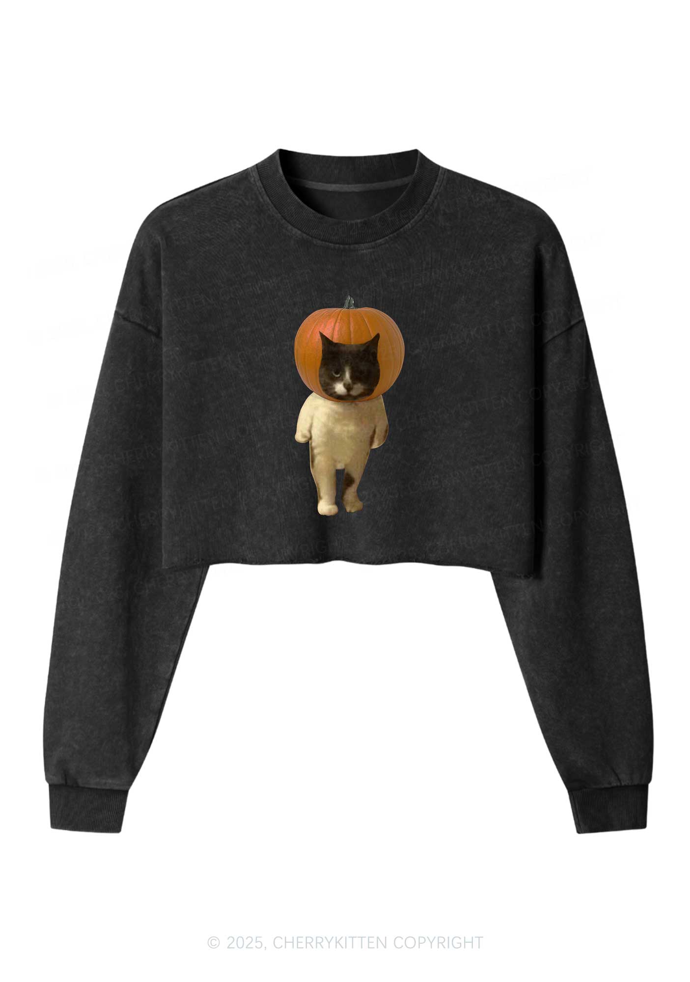 Halloween Pumpkin Head Cat Y2K Crop Washed Sweatshirts Cherrykitten
