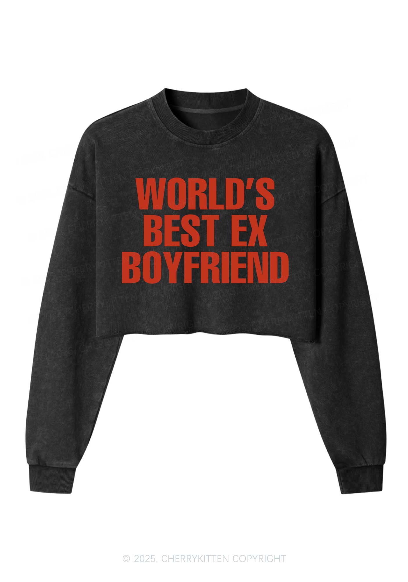 Best Ex Boyfriend Y2K Crop Washed Sweatshirts Cherrykitten